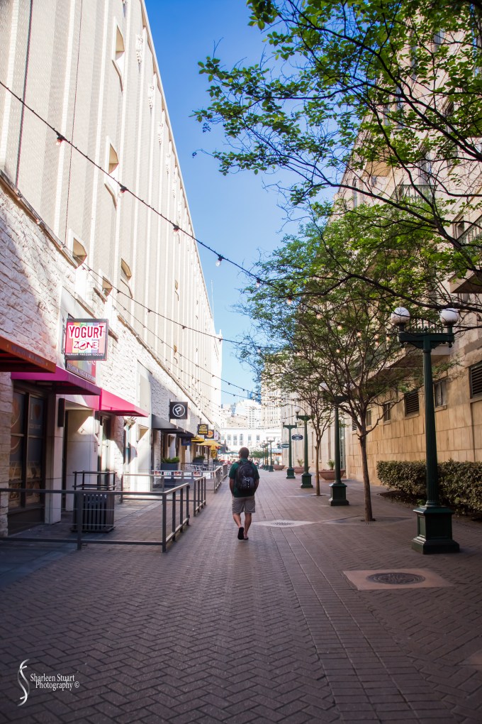 San Antonio:  April 9-13, 2019: 3931