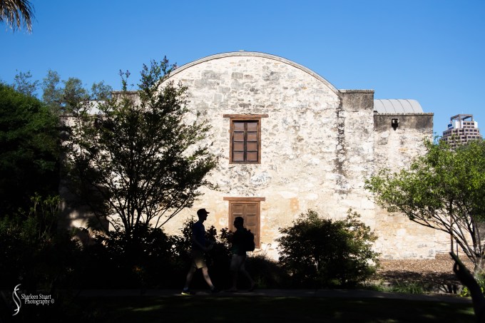 San Antonio:  April 9-13, 2019: 3985