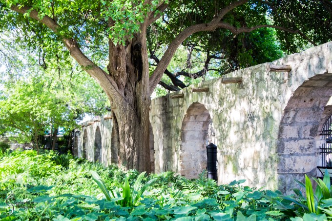 San Antonio:  April 9-13, 2019: 3999