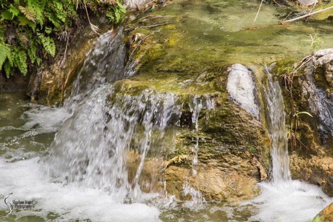 San Antonio:  April 9-13, 2019:  4174