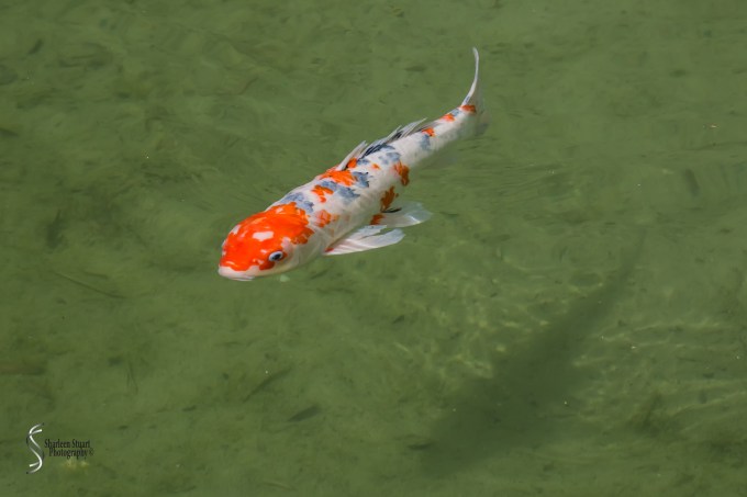 San Antonio:  April 9-13, 2019: 4179