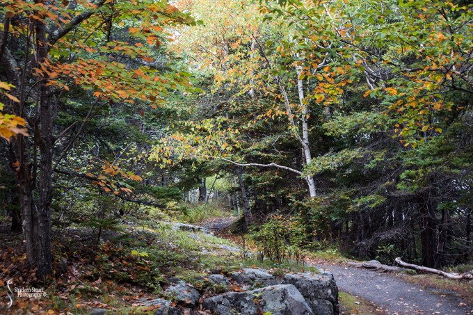 Maine, New Hampshire, Massachusetts:  September 2018: 0208