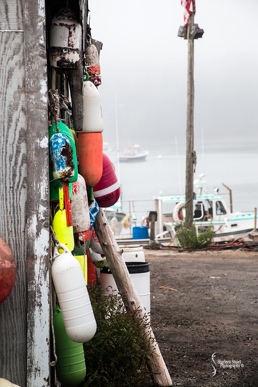 Maine, New Hampshire, Massachusetts:  September 2018: 0441