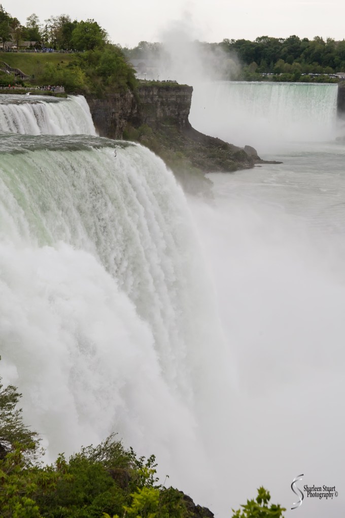 Niagara Falls and Rochester:  June 4-7, 2019: 5978