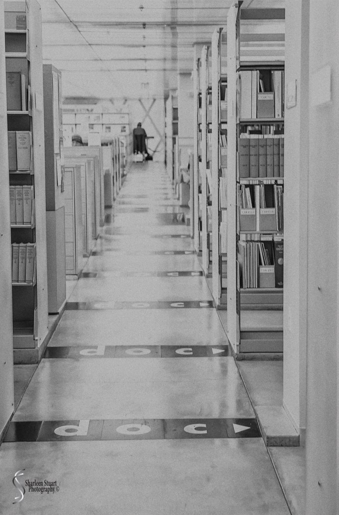 Seattle, Orca Islands, Leavensworth, March 04-13, 2016 6513