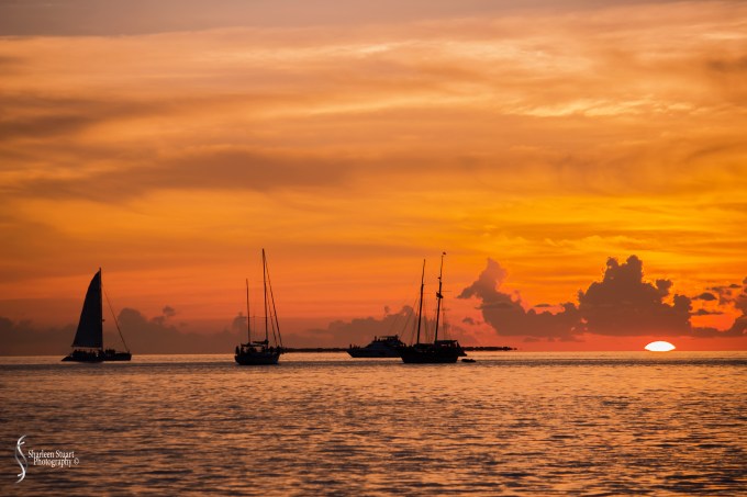 Key West Vacation: July 2015: 6607