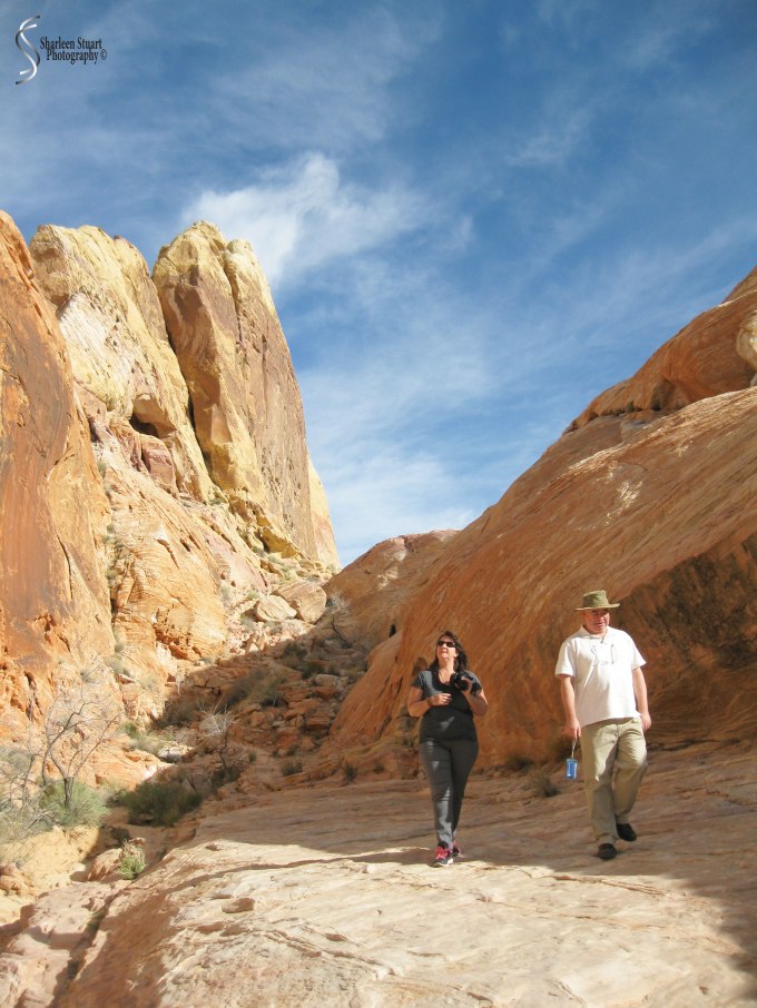 Valley of Fire: March 8, 2014: 3019