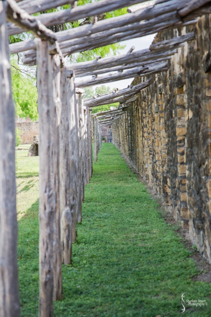 San Antonio: April 9-13, 2019: 4589