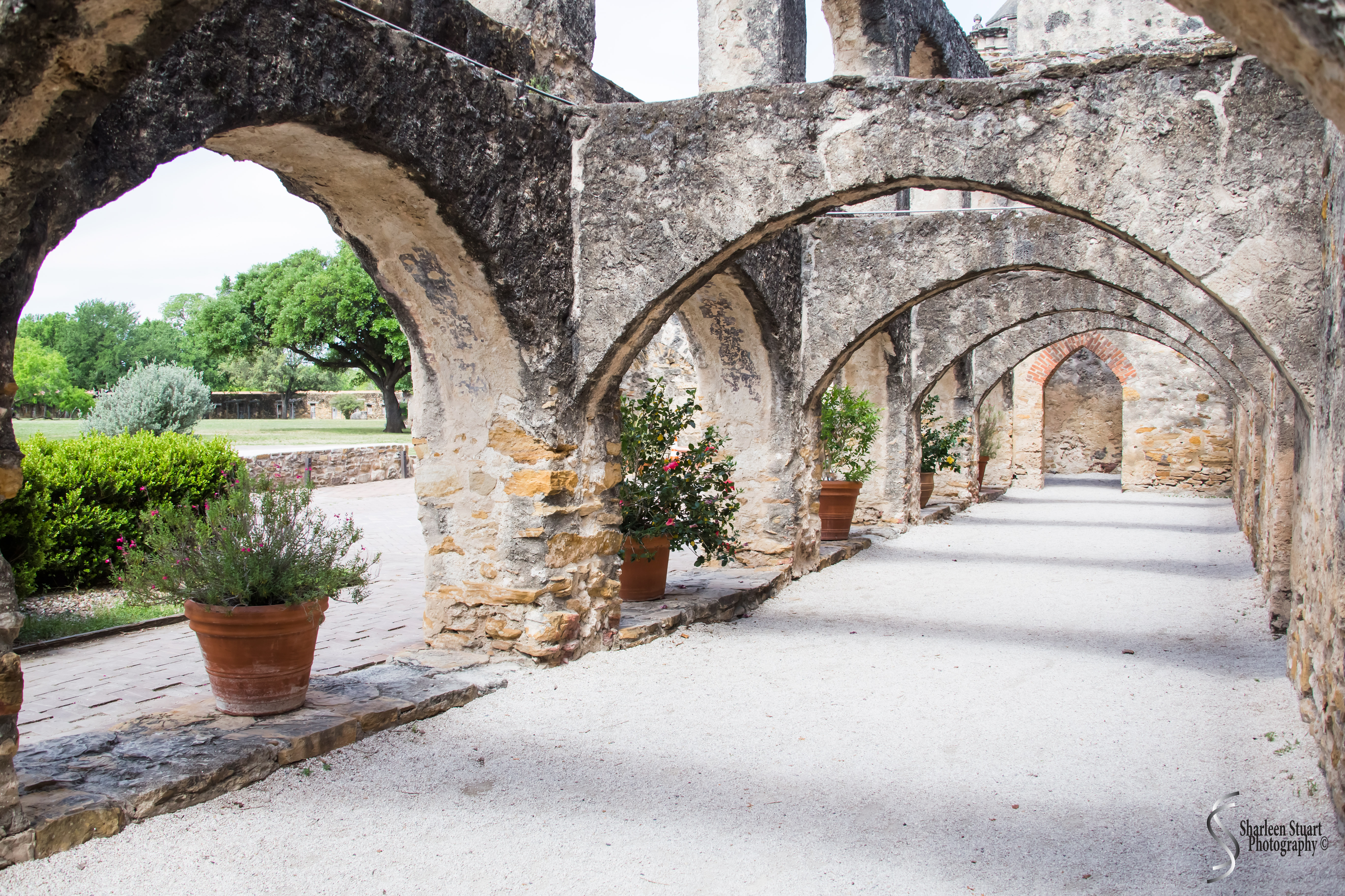 San Antonio: April 9-13, 2019: 4618