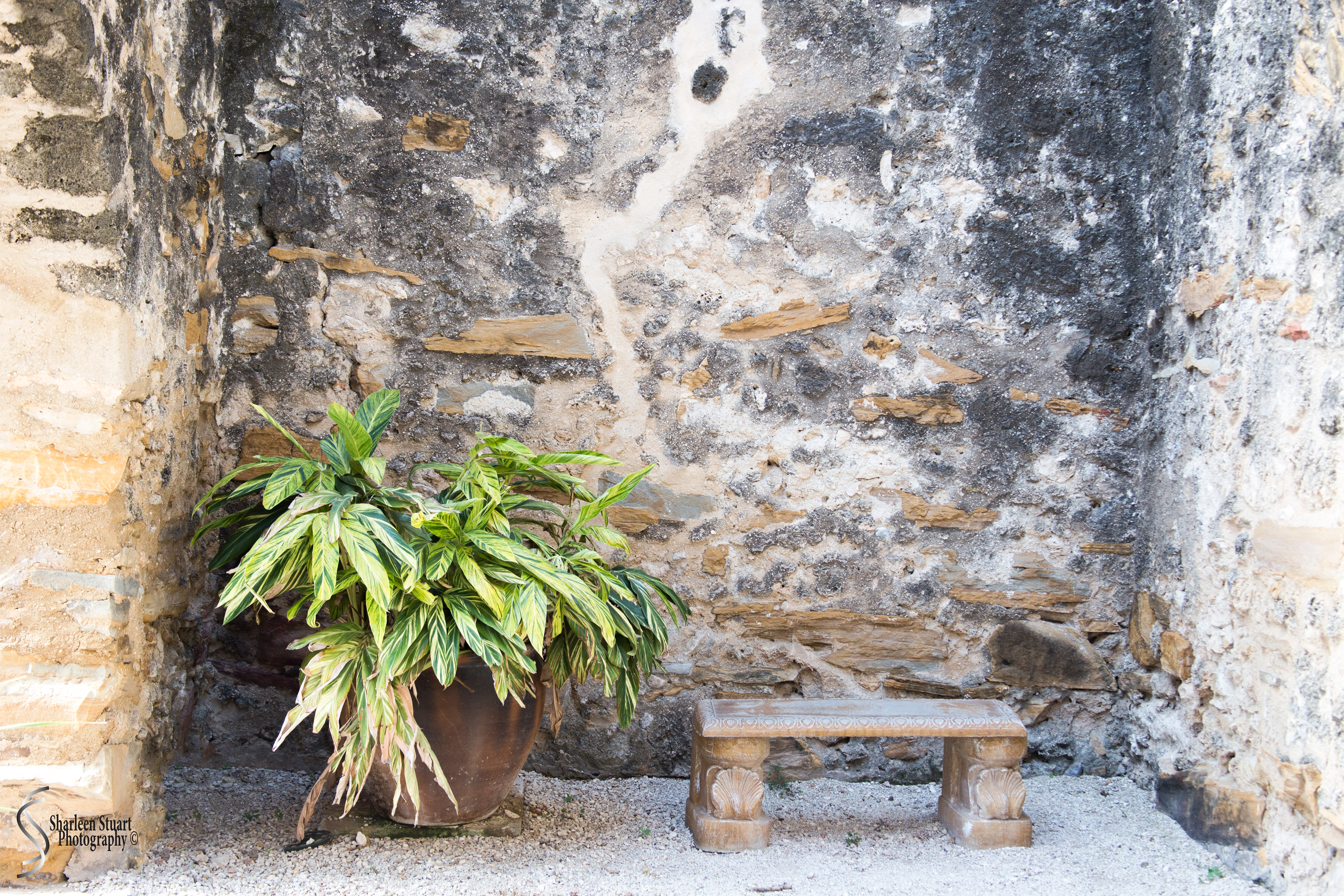 San Antonio: April 9-13, 2019: 4627