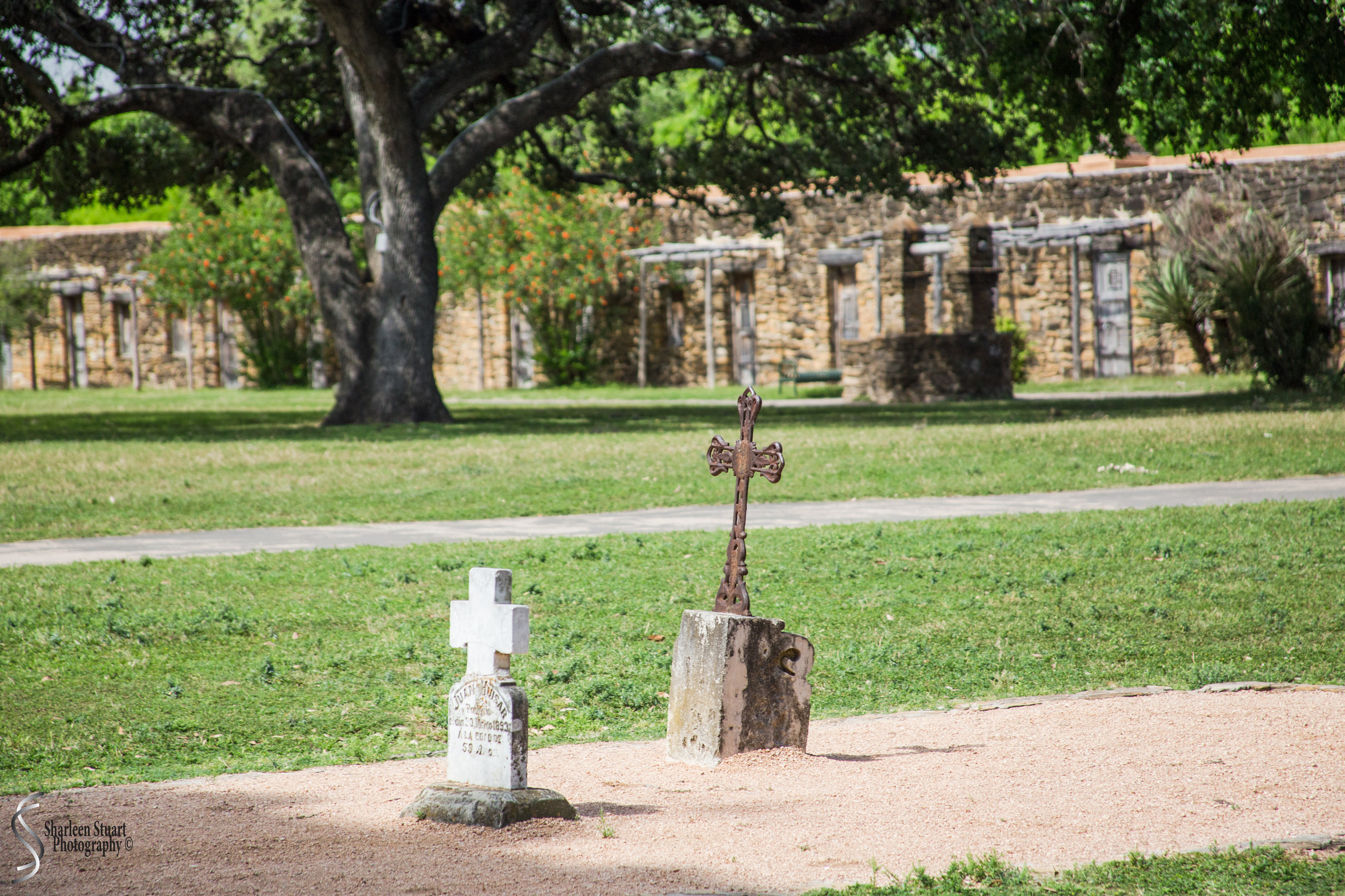 San Antonio: April 9-13, 2019: 4639