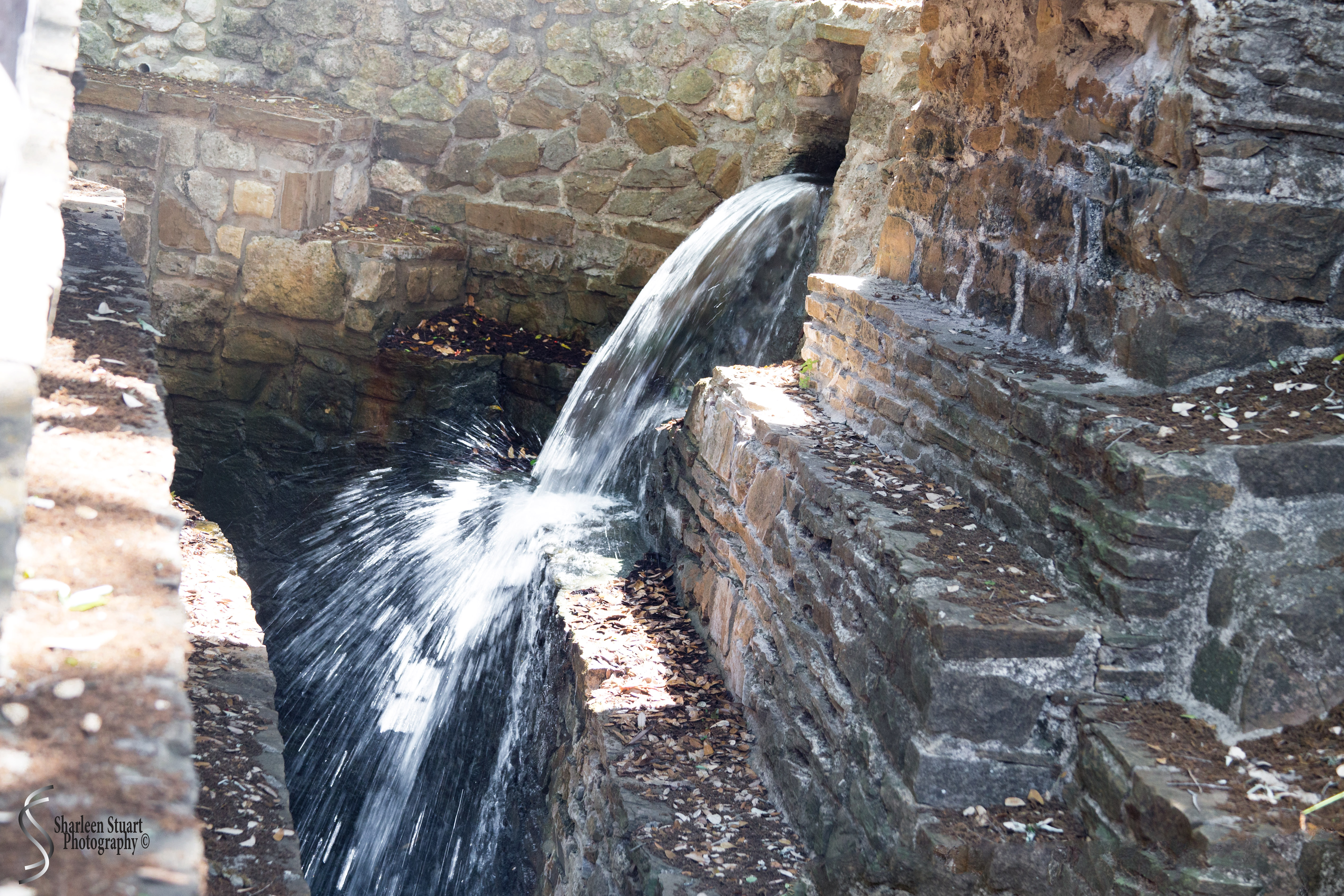 San Antonio: April 9-13, 2019: 4656