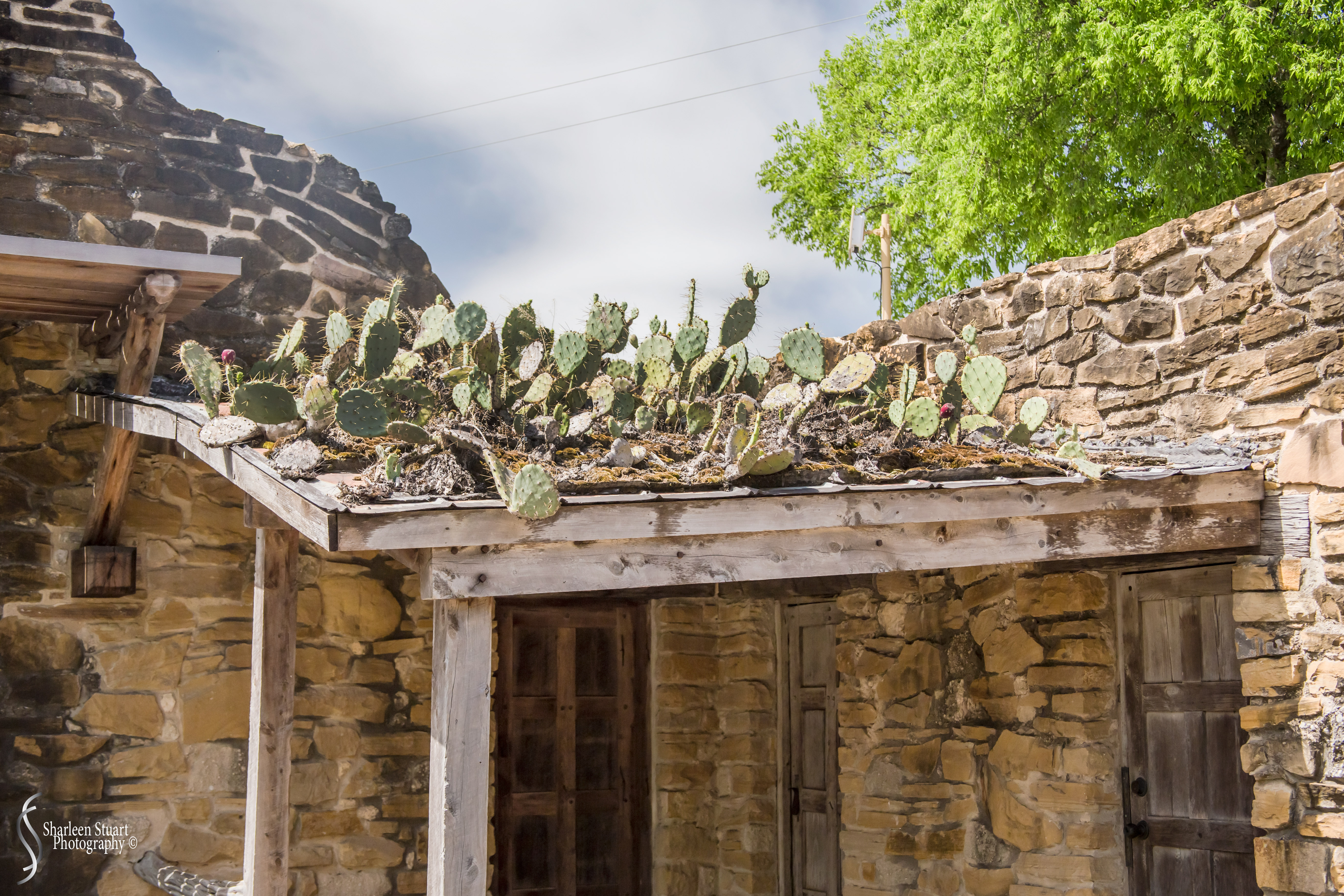 San Antonio: April 9-13, 2019: 4677