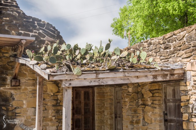 San Antonio: April 9-13, 2019: 4677