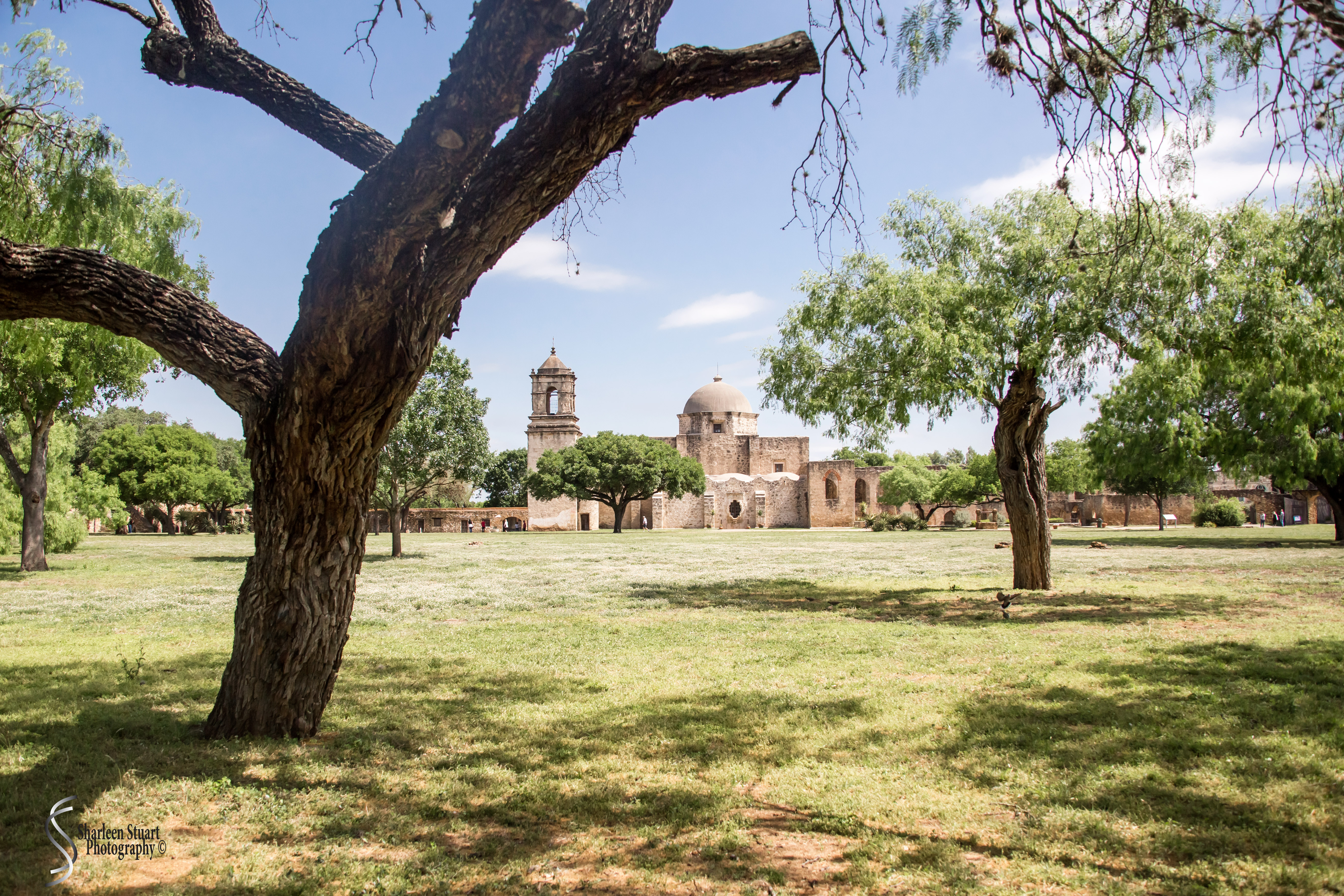 San Antonio: April 9-13, 2019: 4680