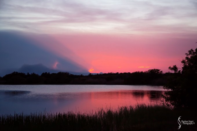 Fireworkds: July 4, 2019: 8006