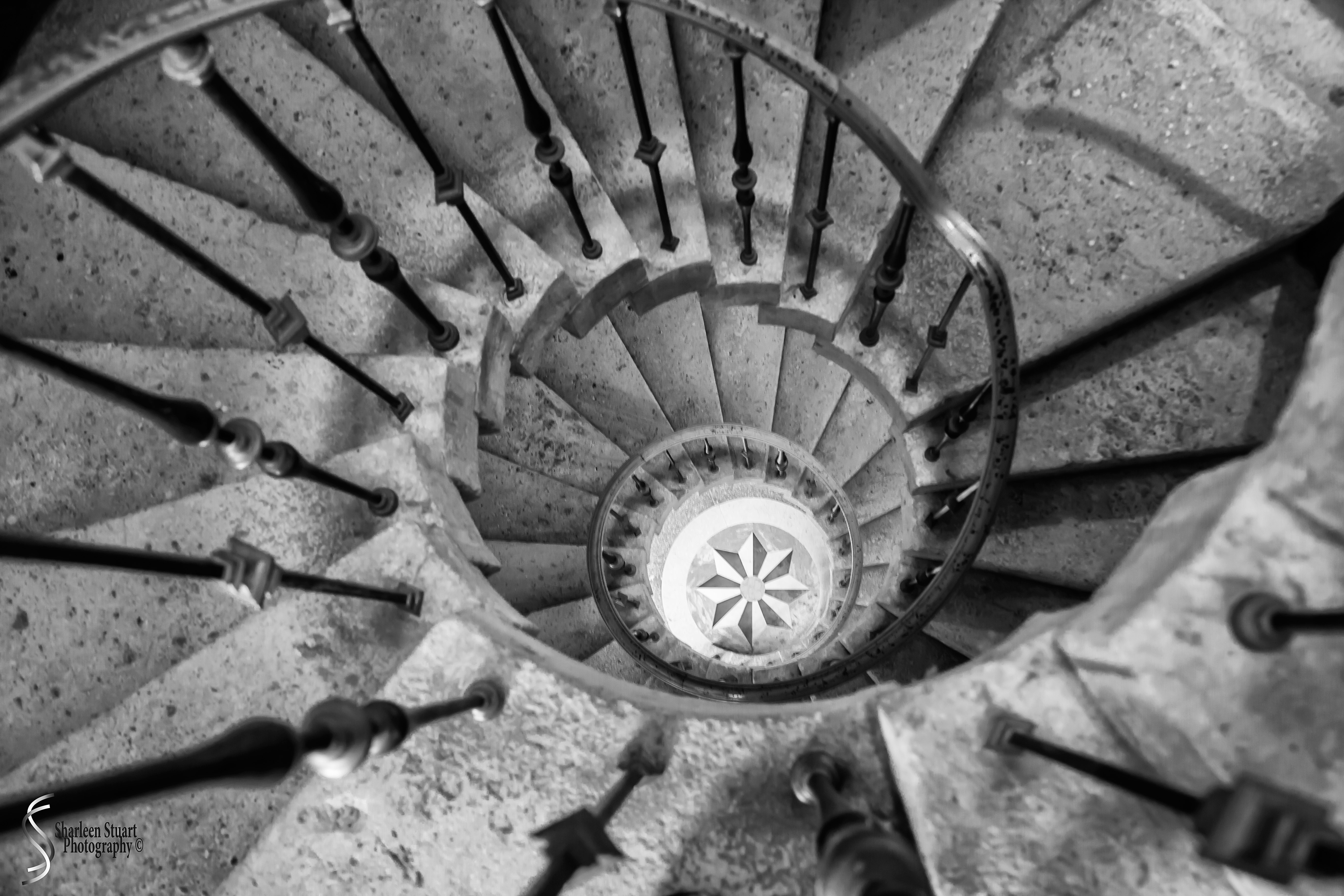 Viscaya Miami: August 17, 2019: 0373