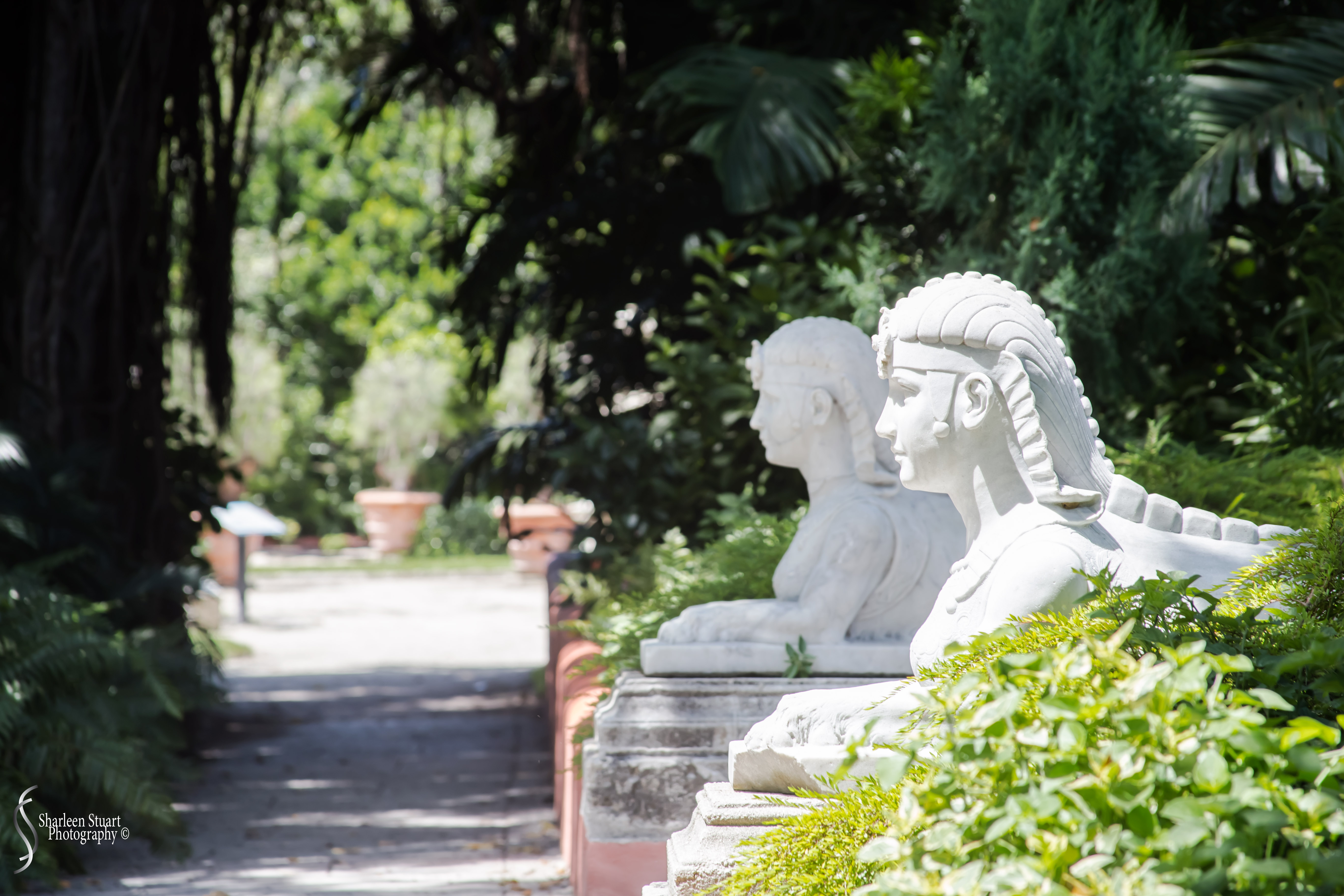 Viscaya Miami: August 17, 2019: 0433