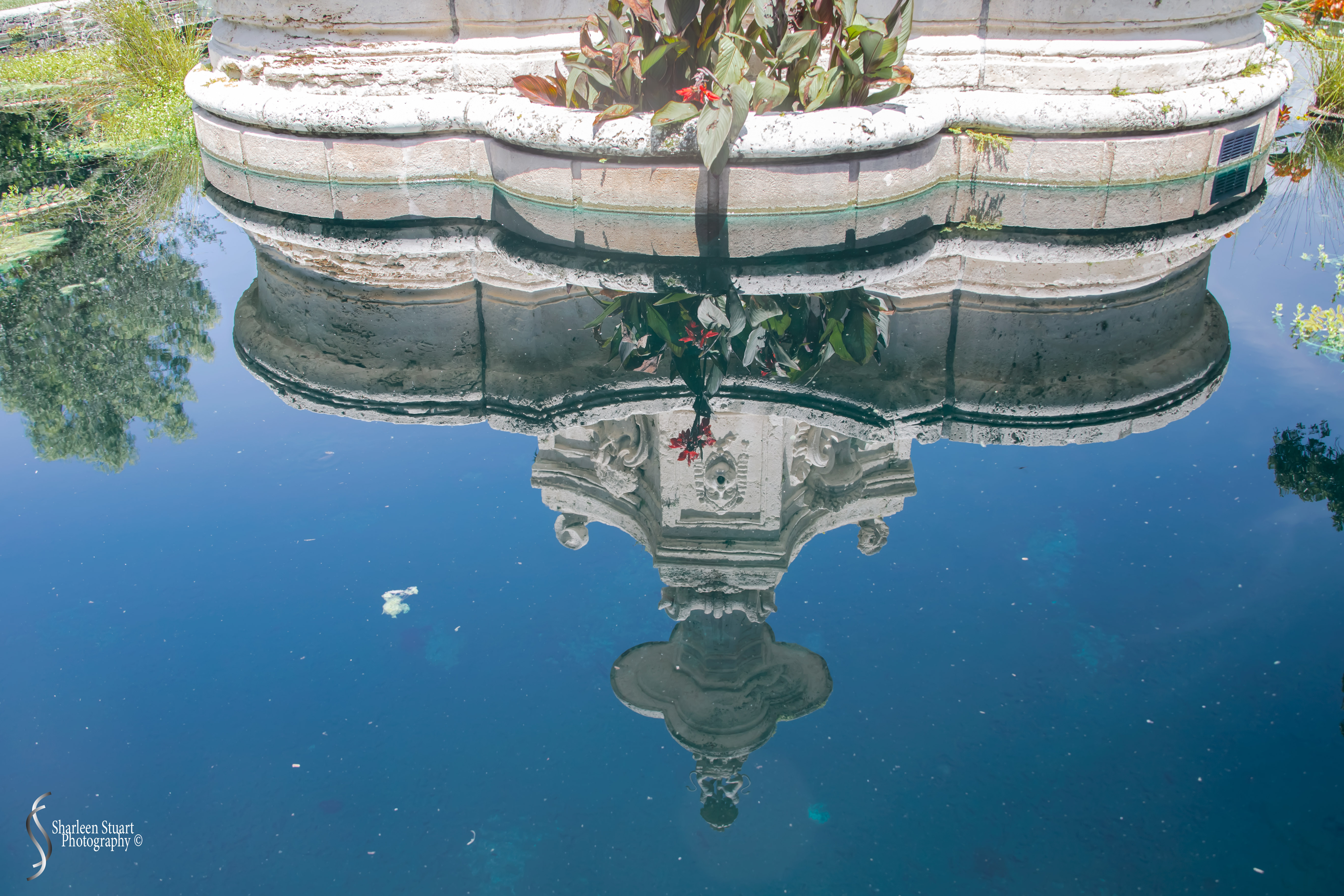 Viscaya Miami: August 17, 2019: 0449