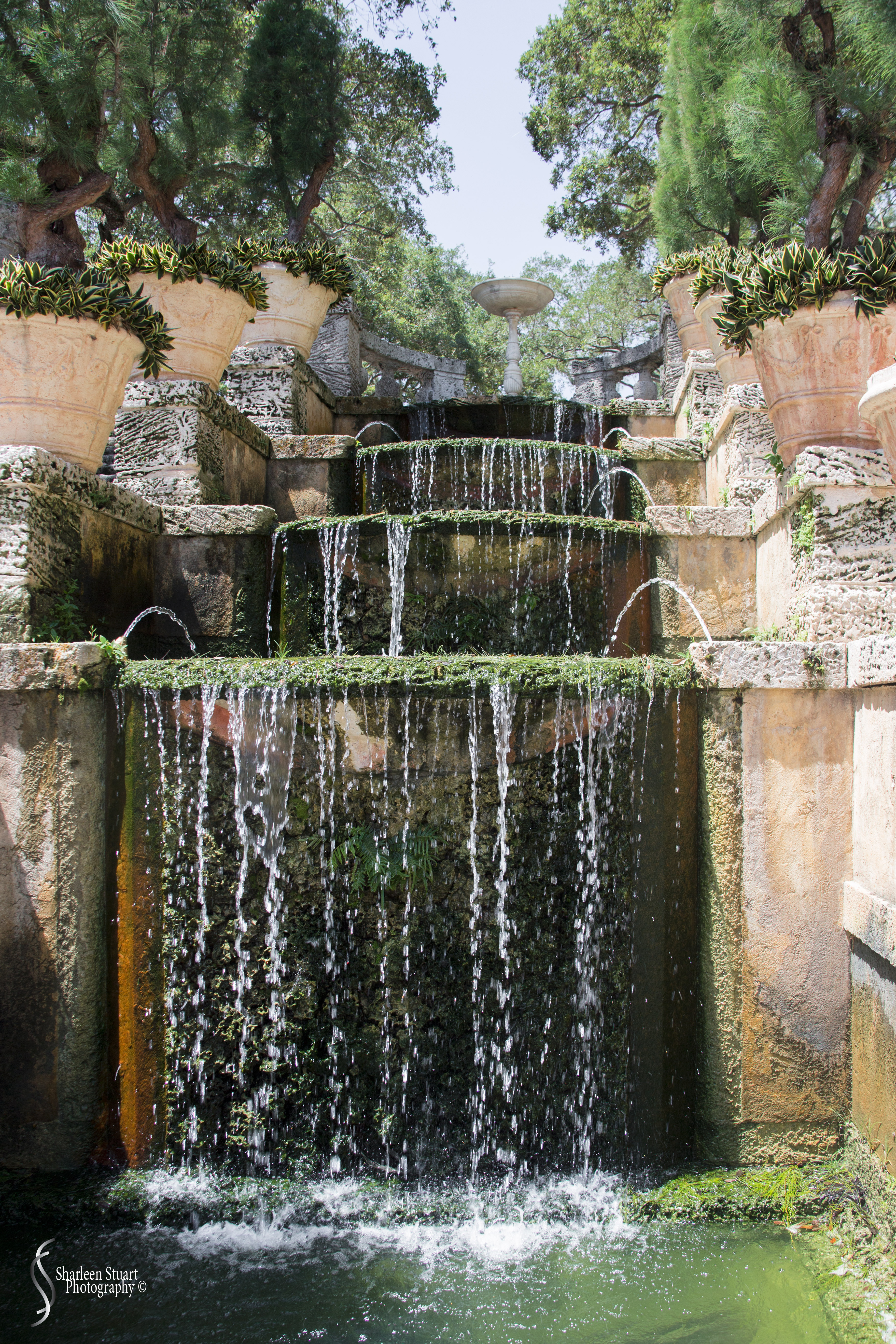 Viscaya Miami: August 17, 2019: 0470