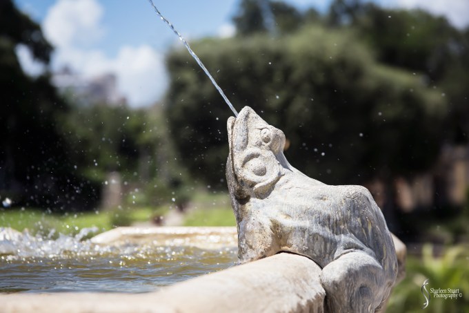 Viscaya Miami:  August 17, 2019: 0493