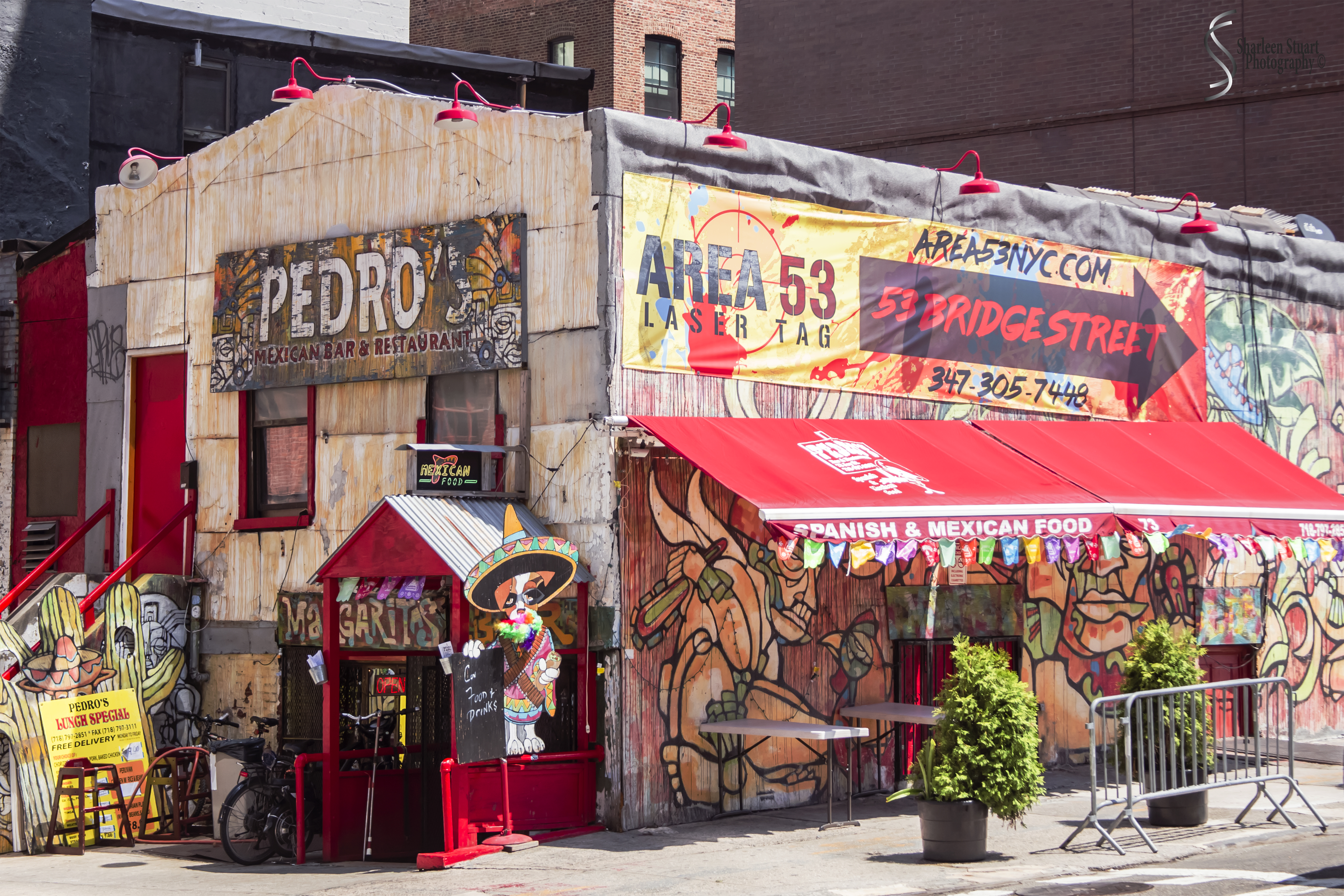 New York: July 20-24, 2019: 9315