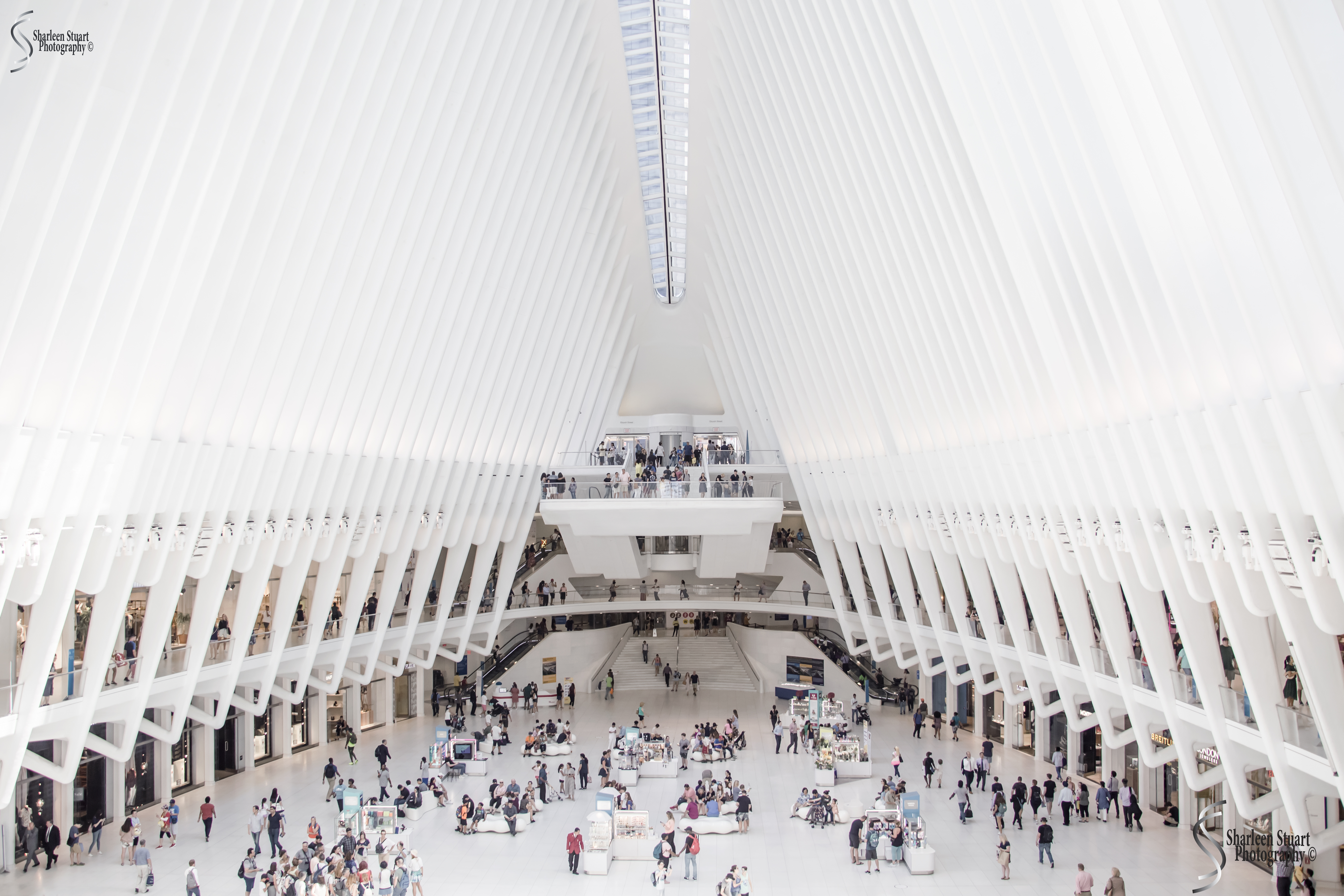 New York: July 20-24, 2019: 9470