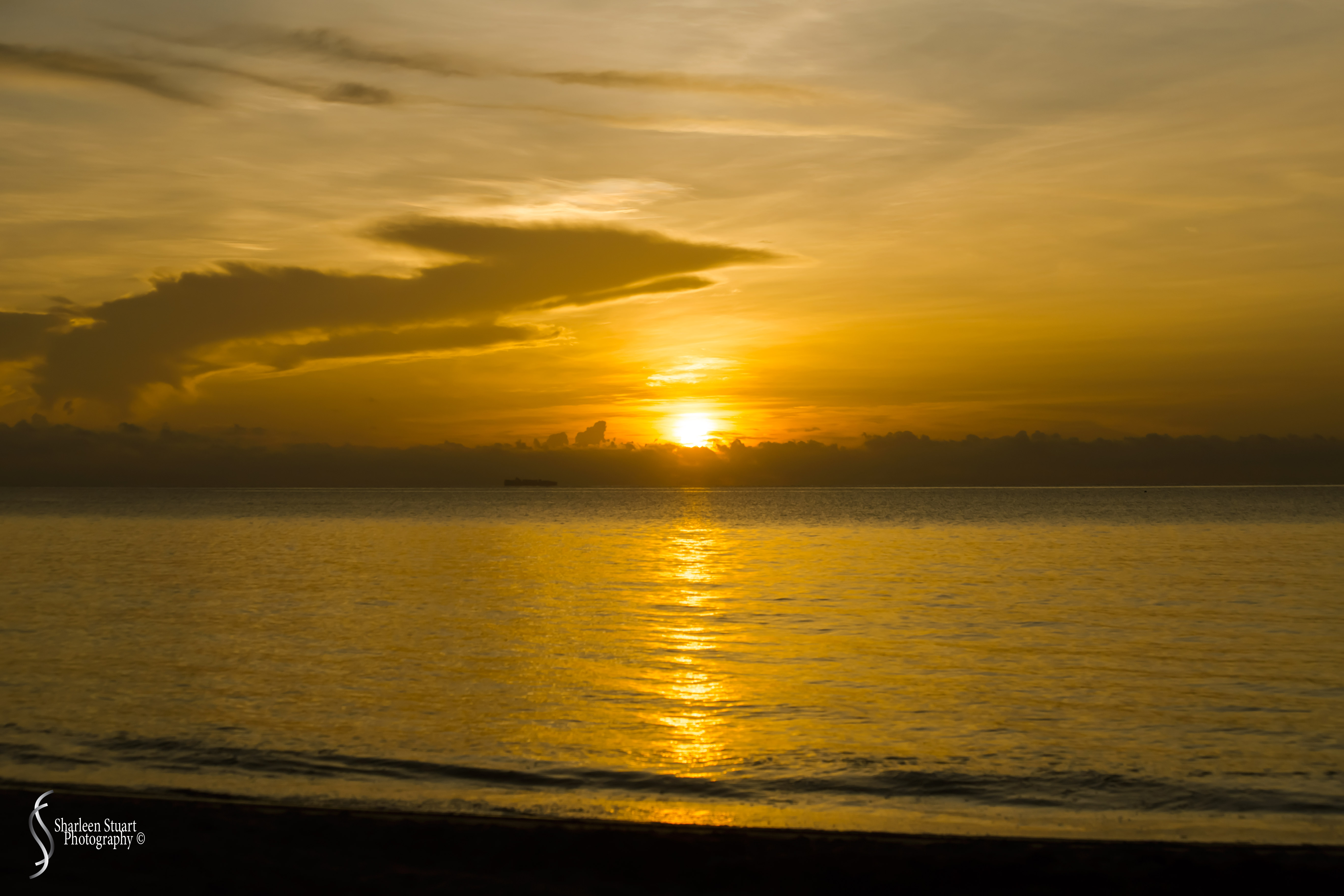 Sunrise: South Beach, BR: August 11, 2019: 9912