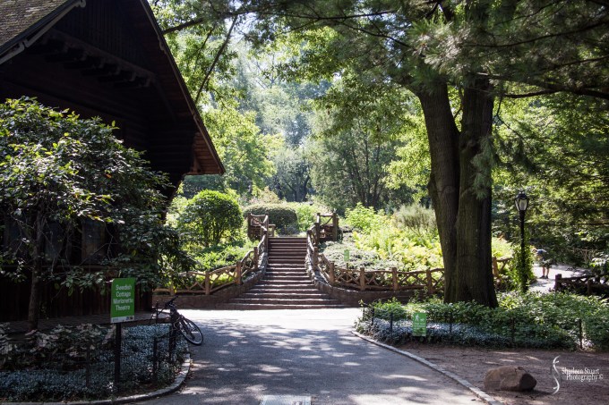 New York: July 20-24, 2019: 8787