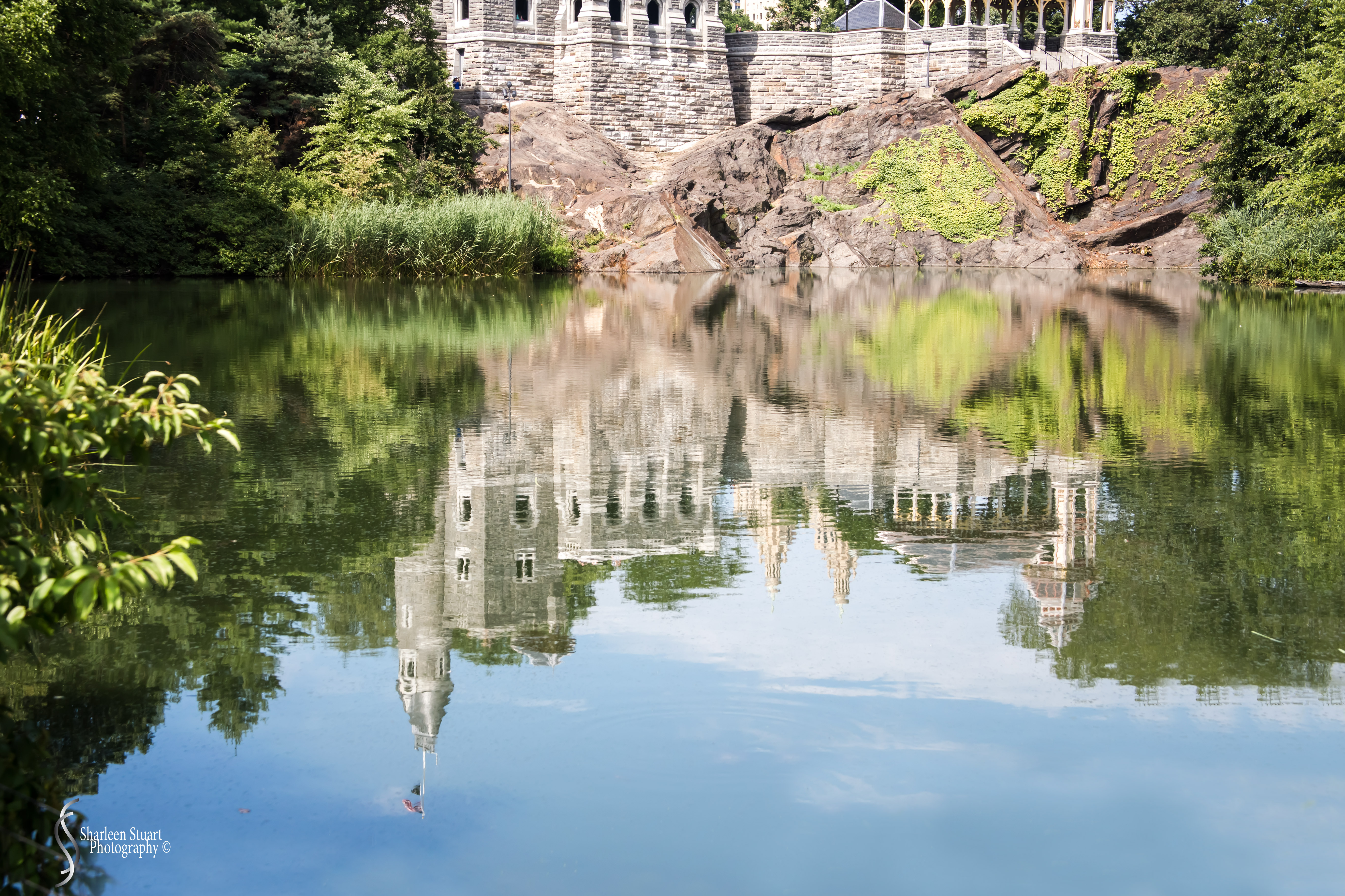 New York: July 20-24, 2019: 8809