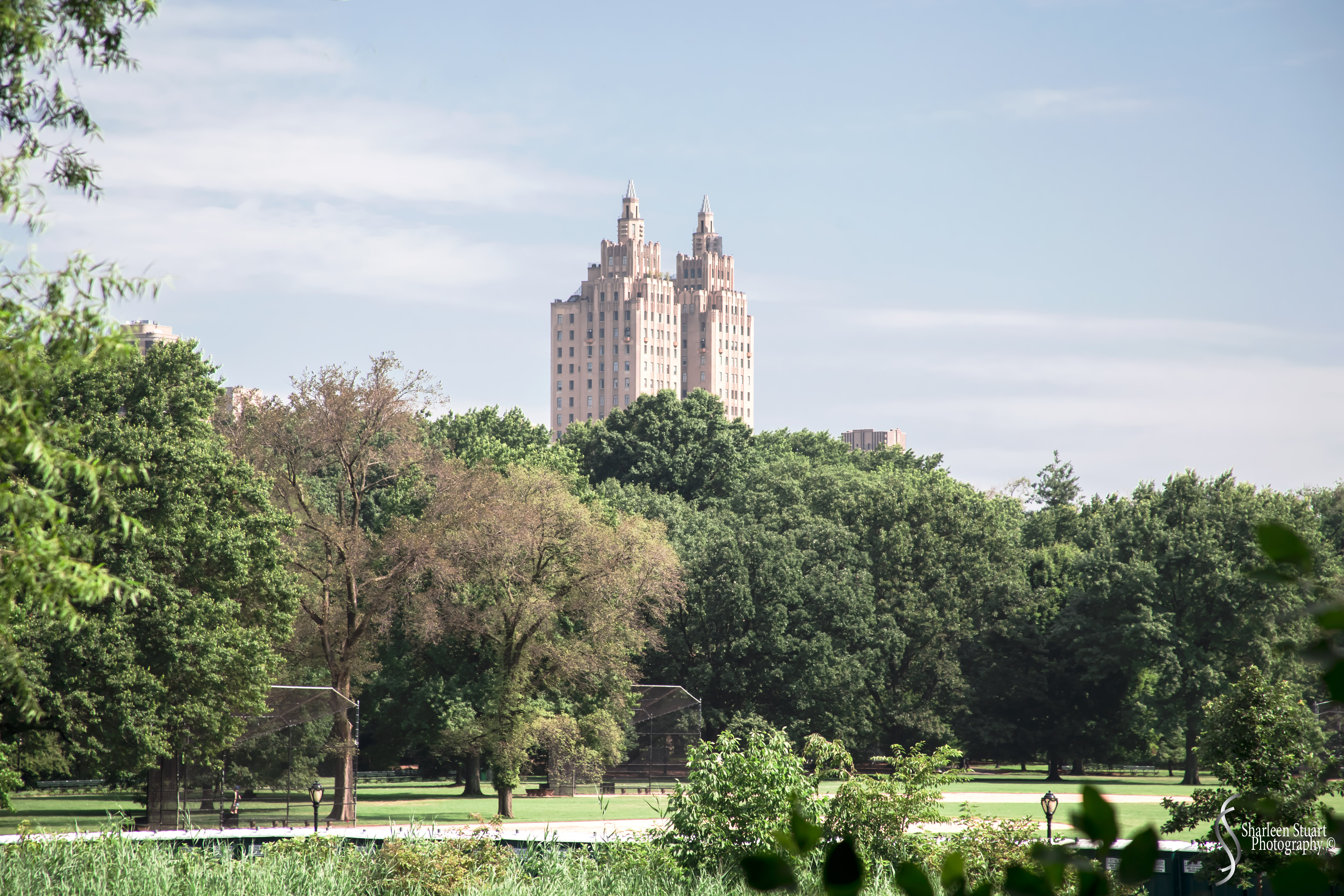 New York: July 20-24, 2019: 8817