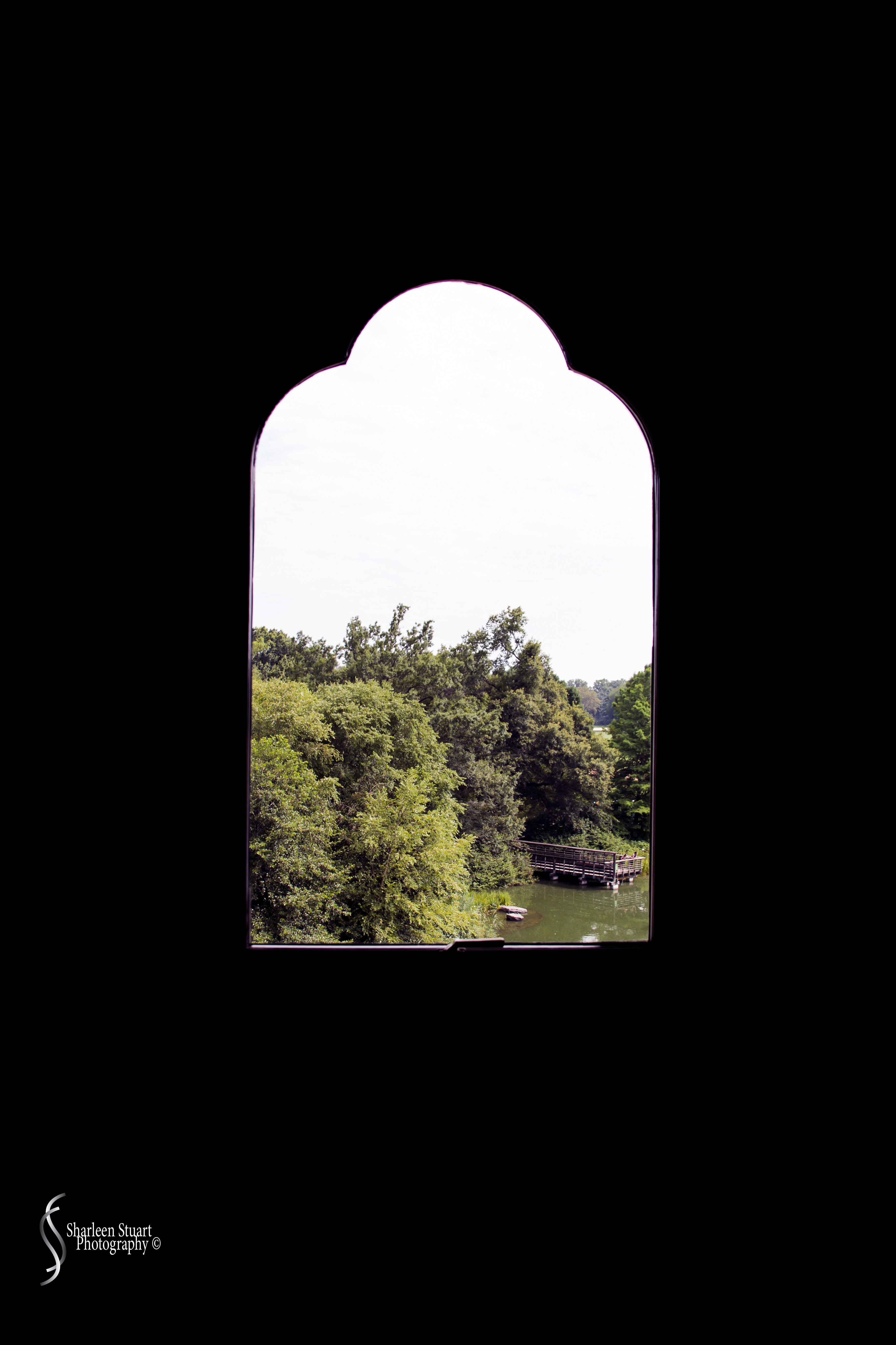 New York: July 20-24, 2019: 8824