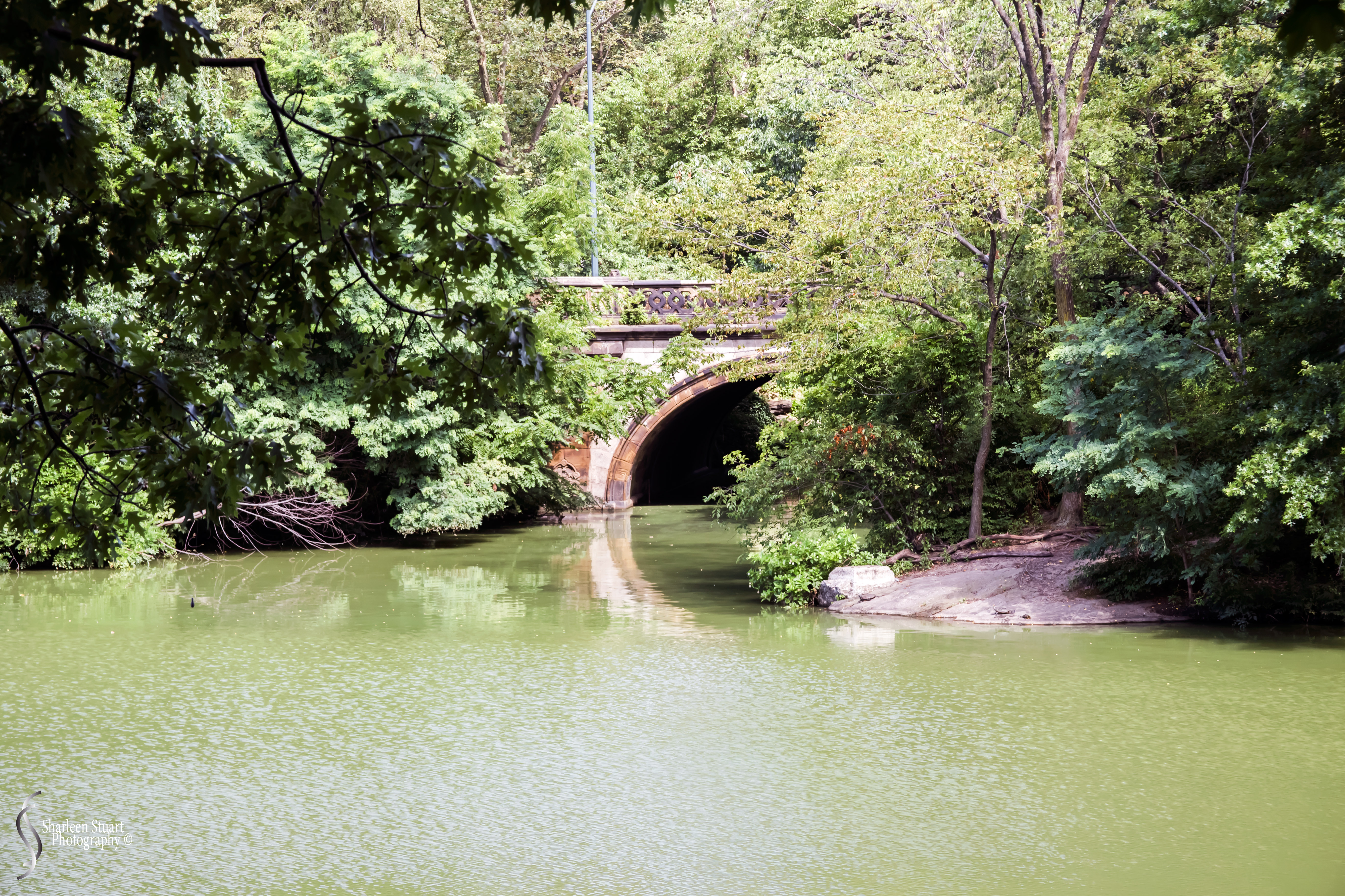 New York: July 20-24, 2019: 8850