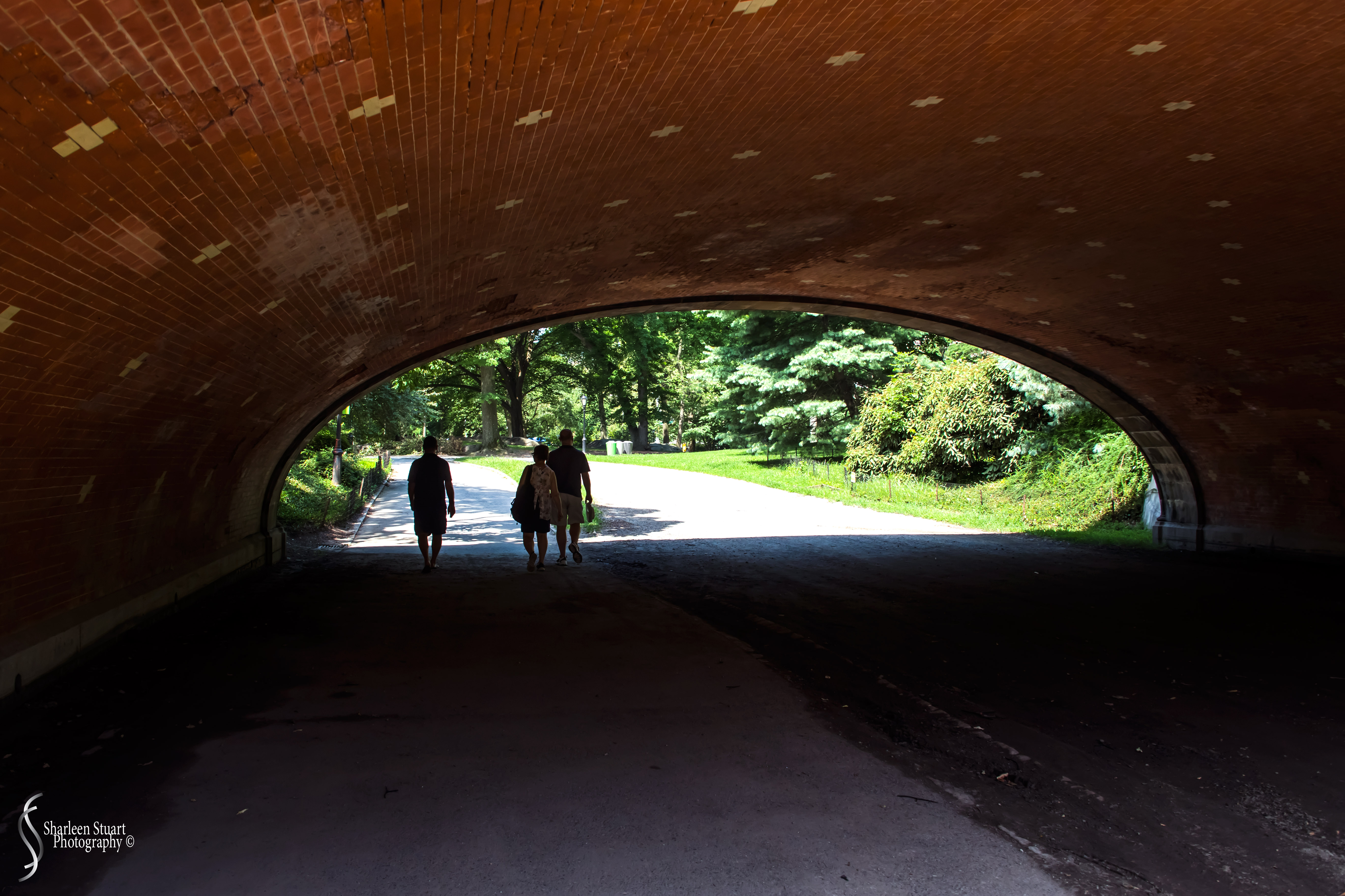 New York: July 20-24, 2019: 8876