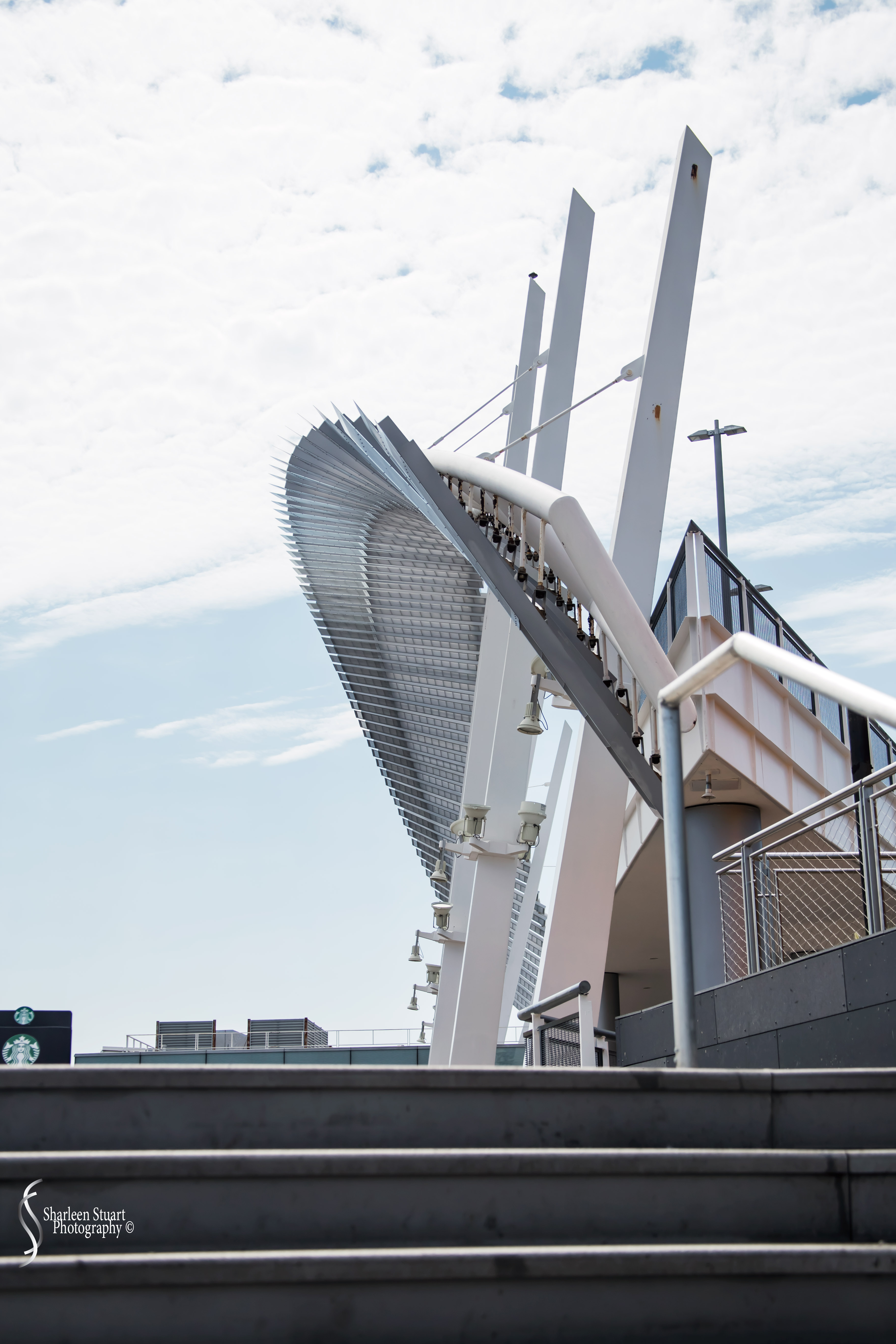 New York: July 20-24, 2019: 9167