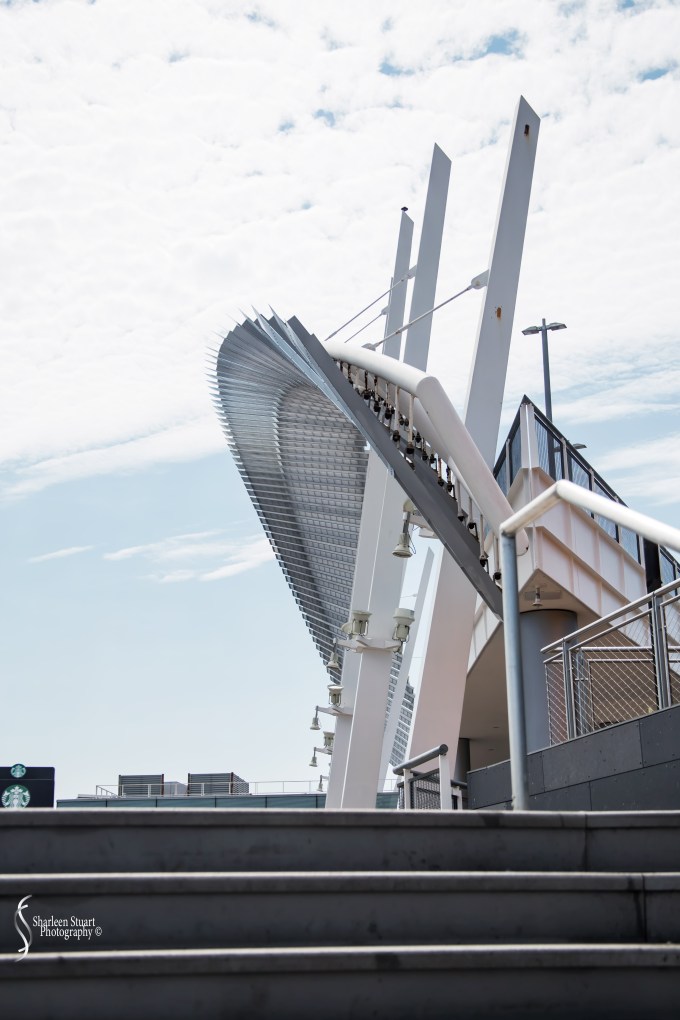 New York: July 20-24, 2019: 9167