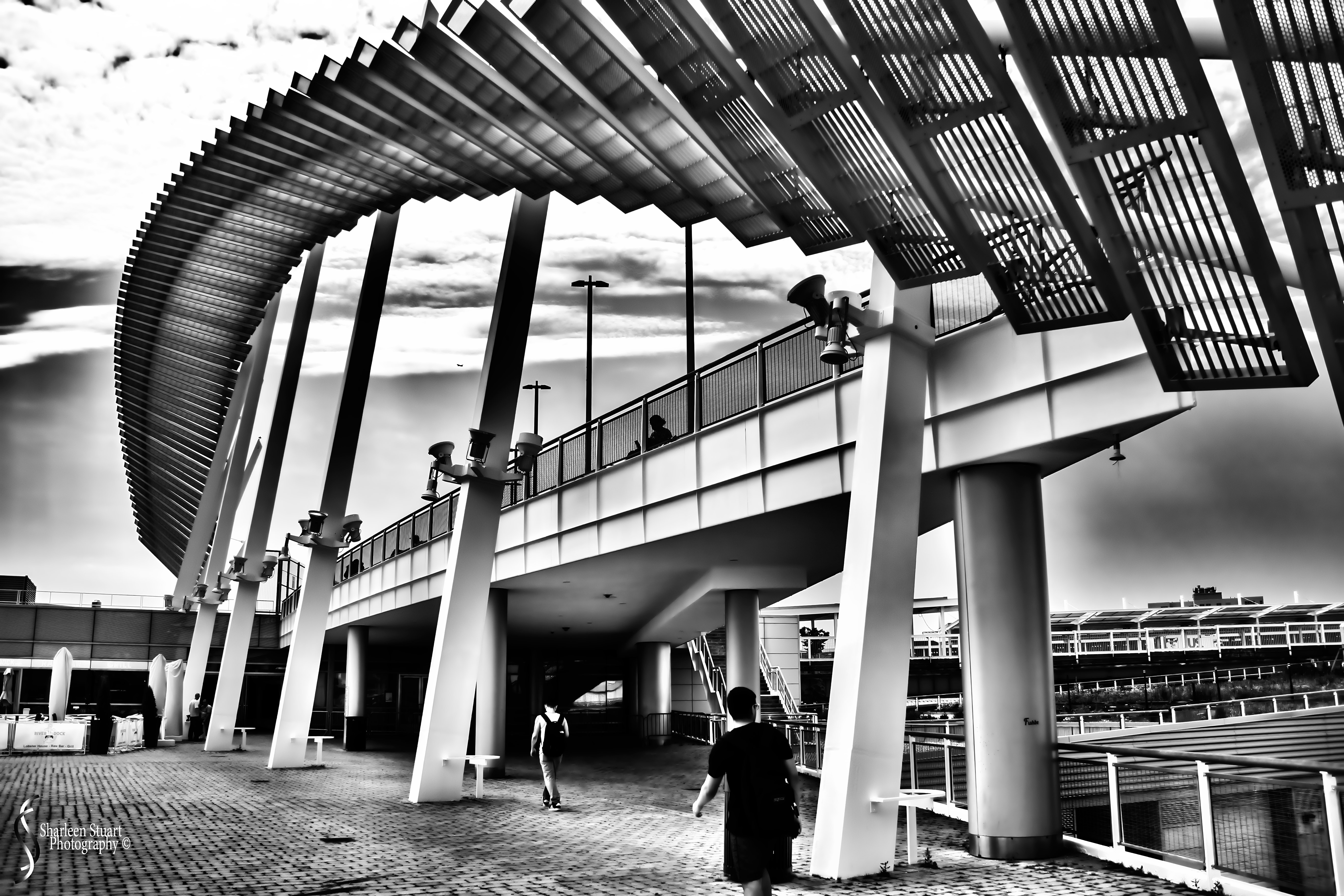 New York: July 20-24, 2019: 9169