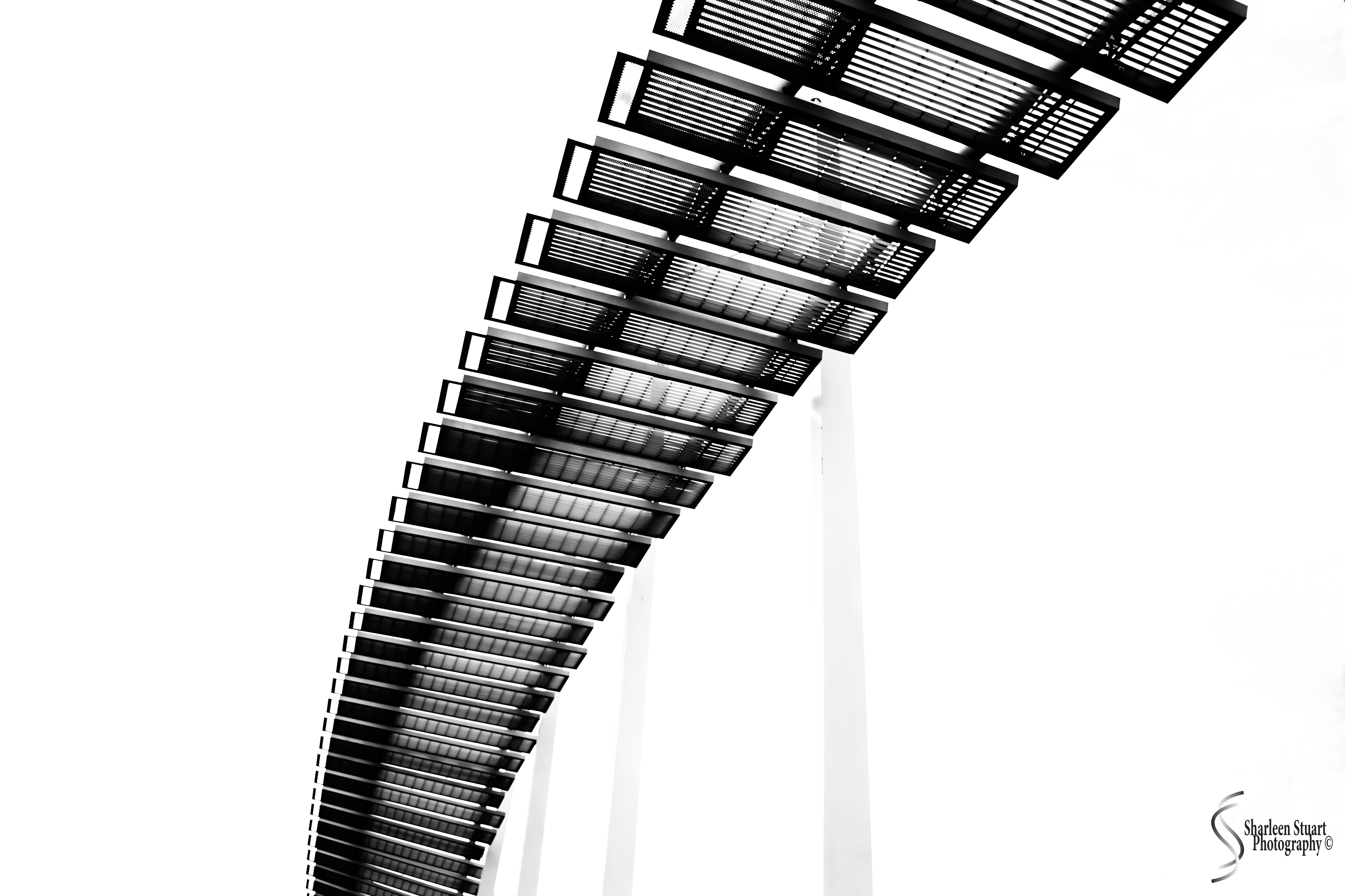 New York: July 20-24, 2019: 9171