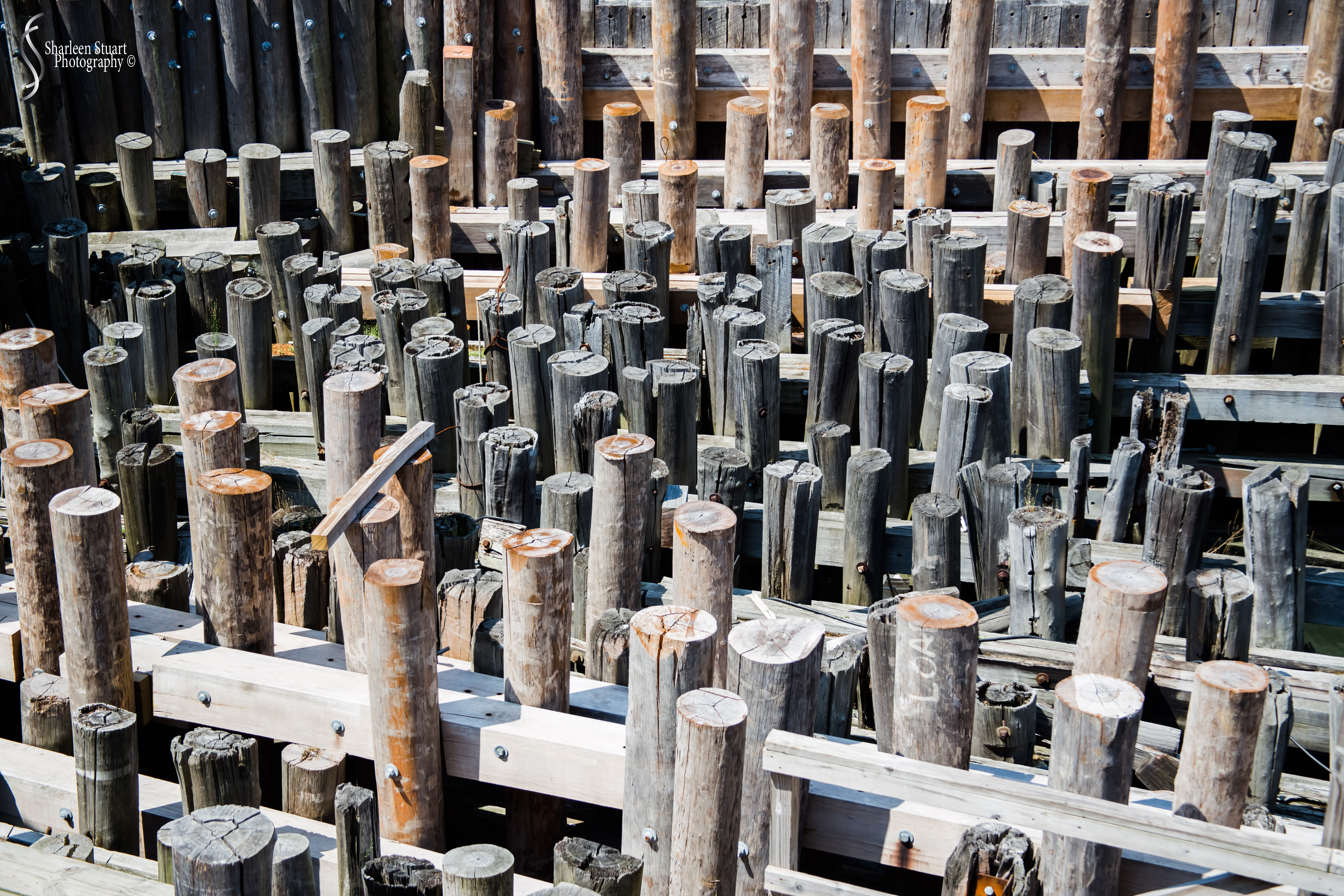 New York: July 20-24, 2019: 9272