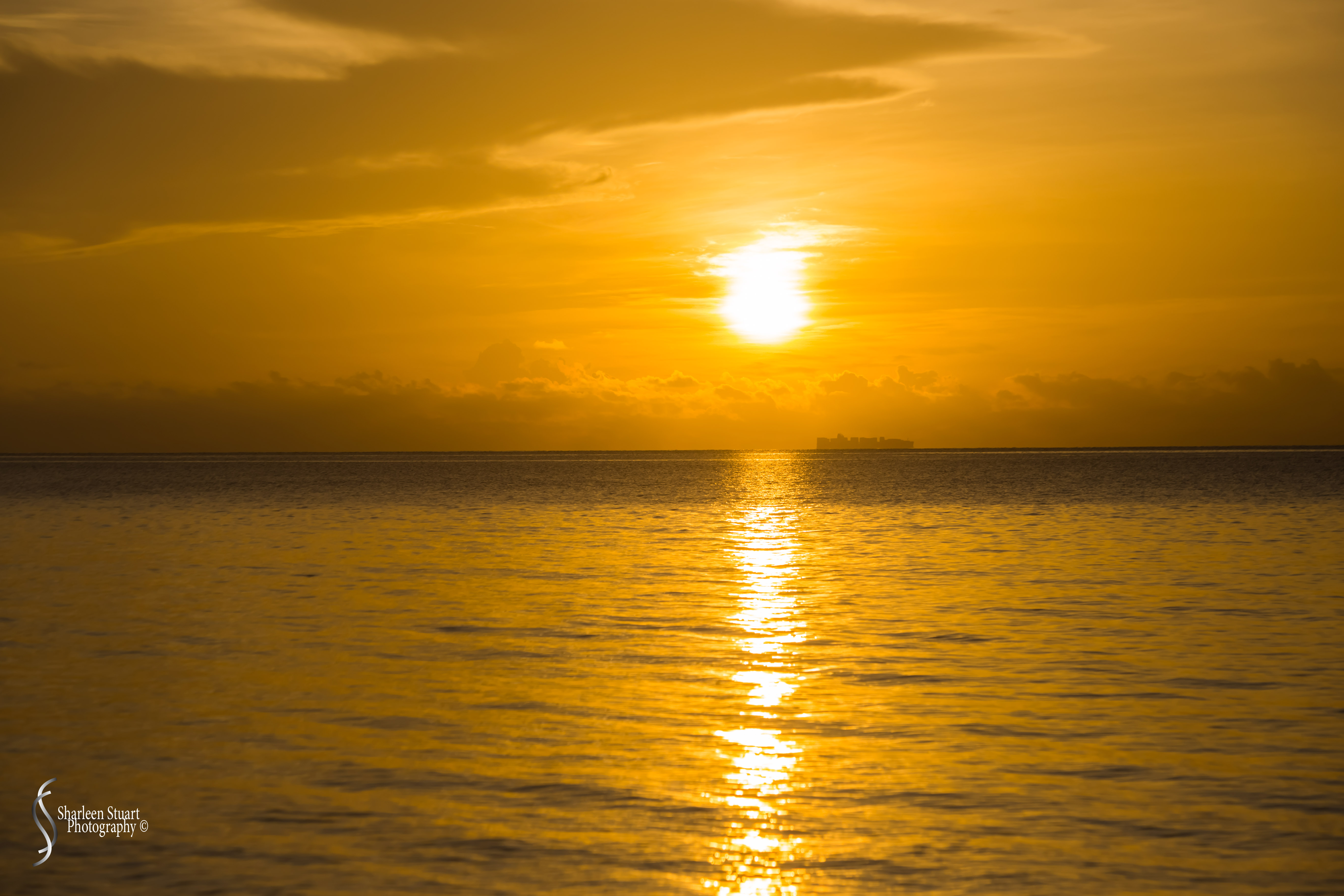 Sunrise: South Beach, BR: August 11, 2019: 9925