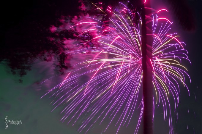 South County Park: July 4, 2017: 5692