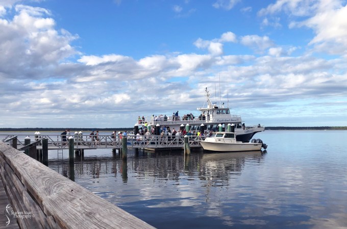 Cumberland Island trip Georgia:  October 11, 2019: 2106