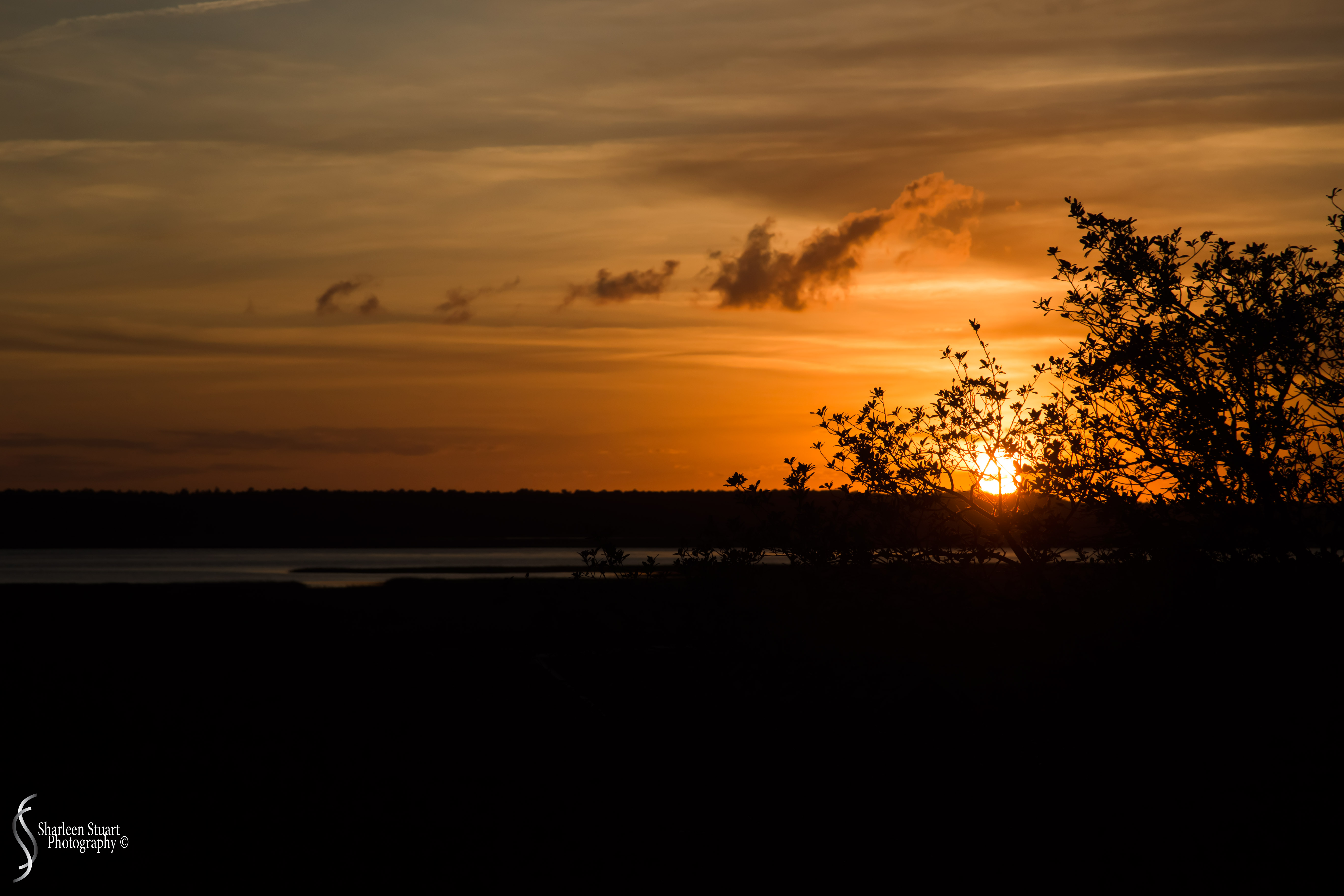 St Mary's Georgia:  October 11, 2019: 2133