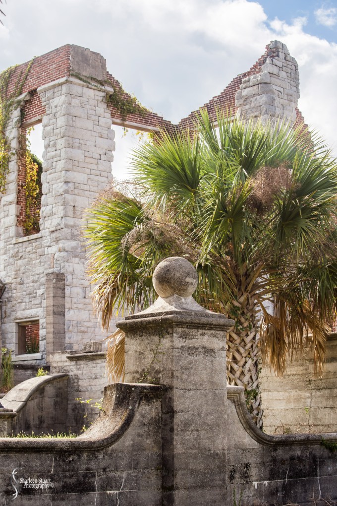 Cumberland Island trip Georgia:  October 11, 2019: 2274