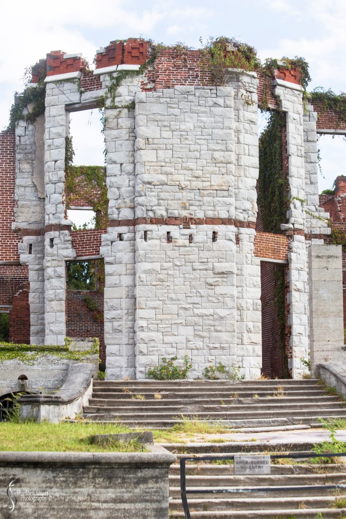 Cumberland Island trip Georgia:  October 11, 2019: 2278