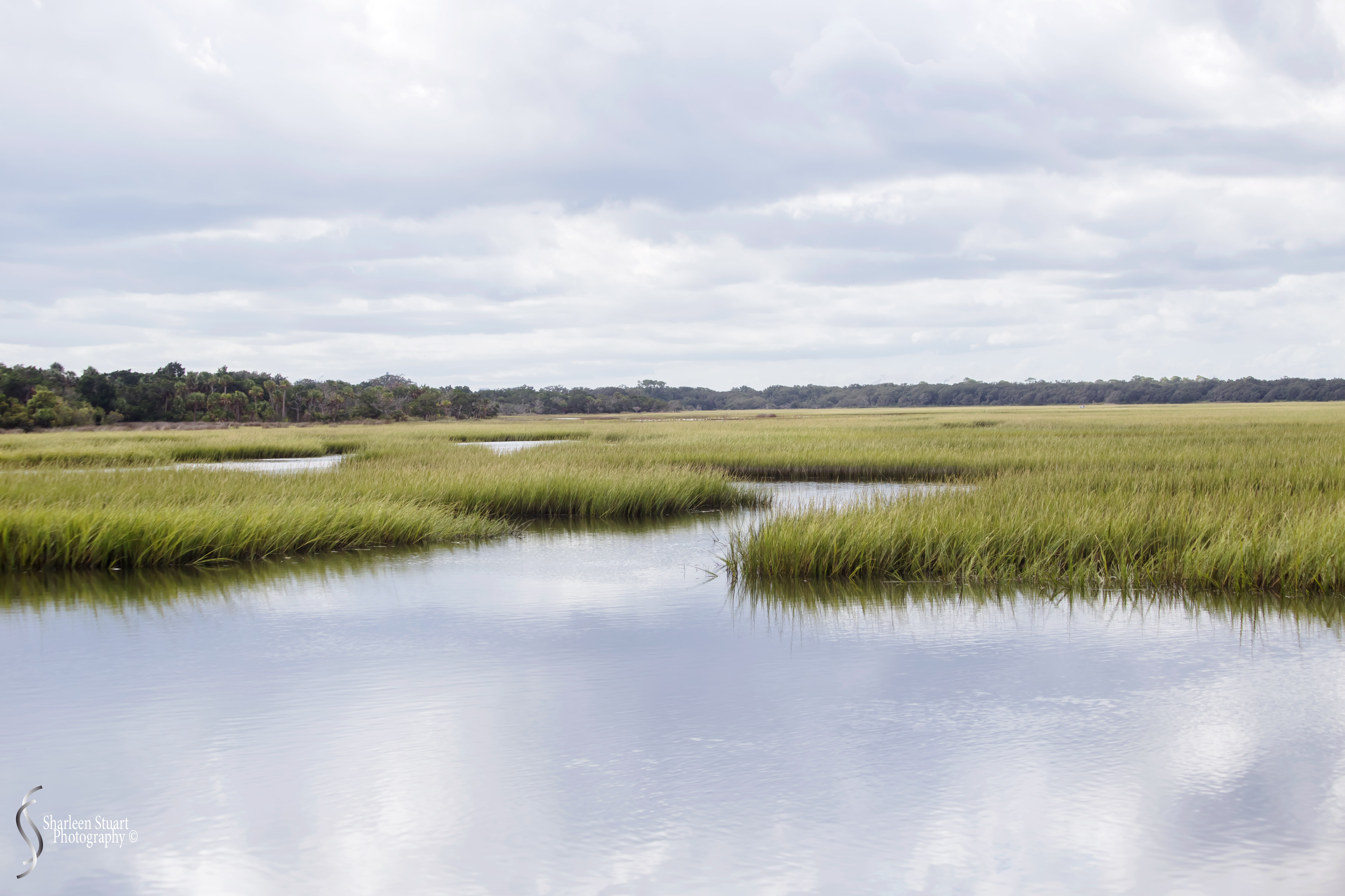 Cumberland Island trip Georgia:  October 11, 2019: 2300