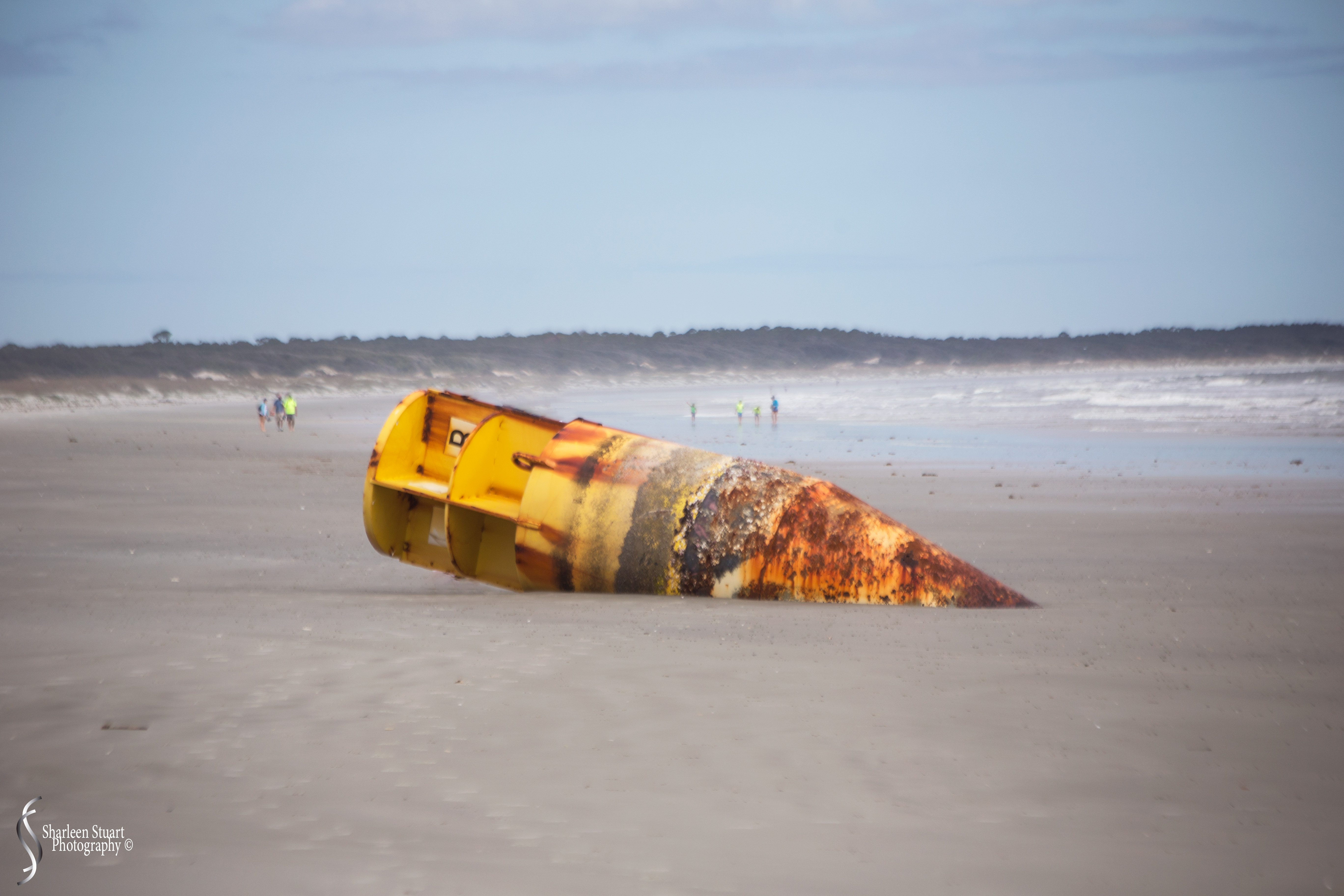 Cumberland Island trip Georgia:  October 11, 2019: 2334