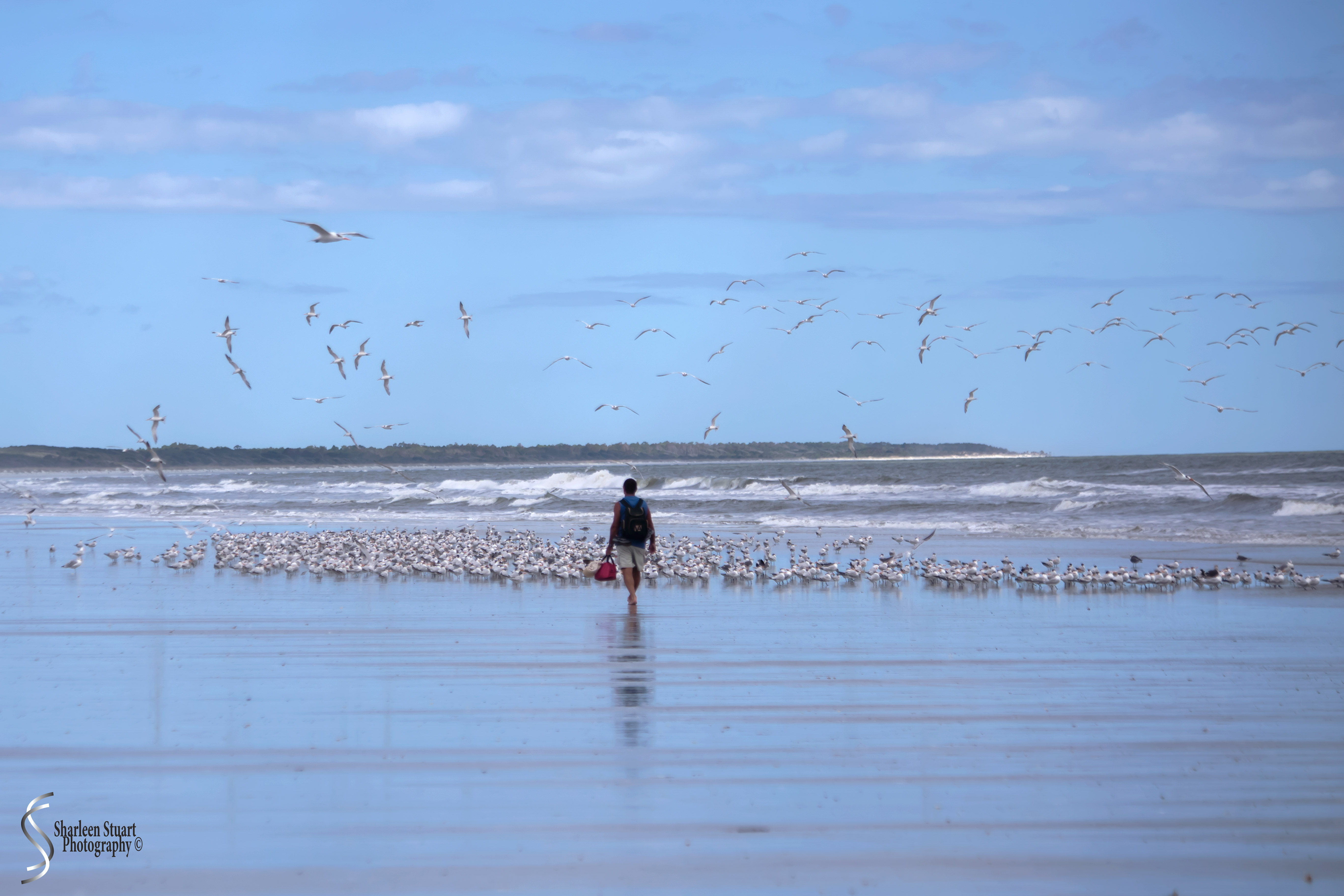 Cumberland Island trip Georgia:  October 11, 2019: 2404
