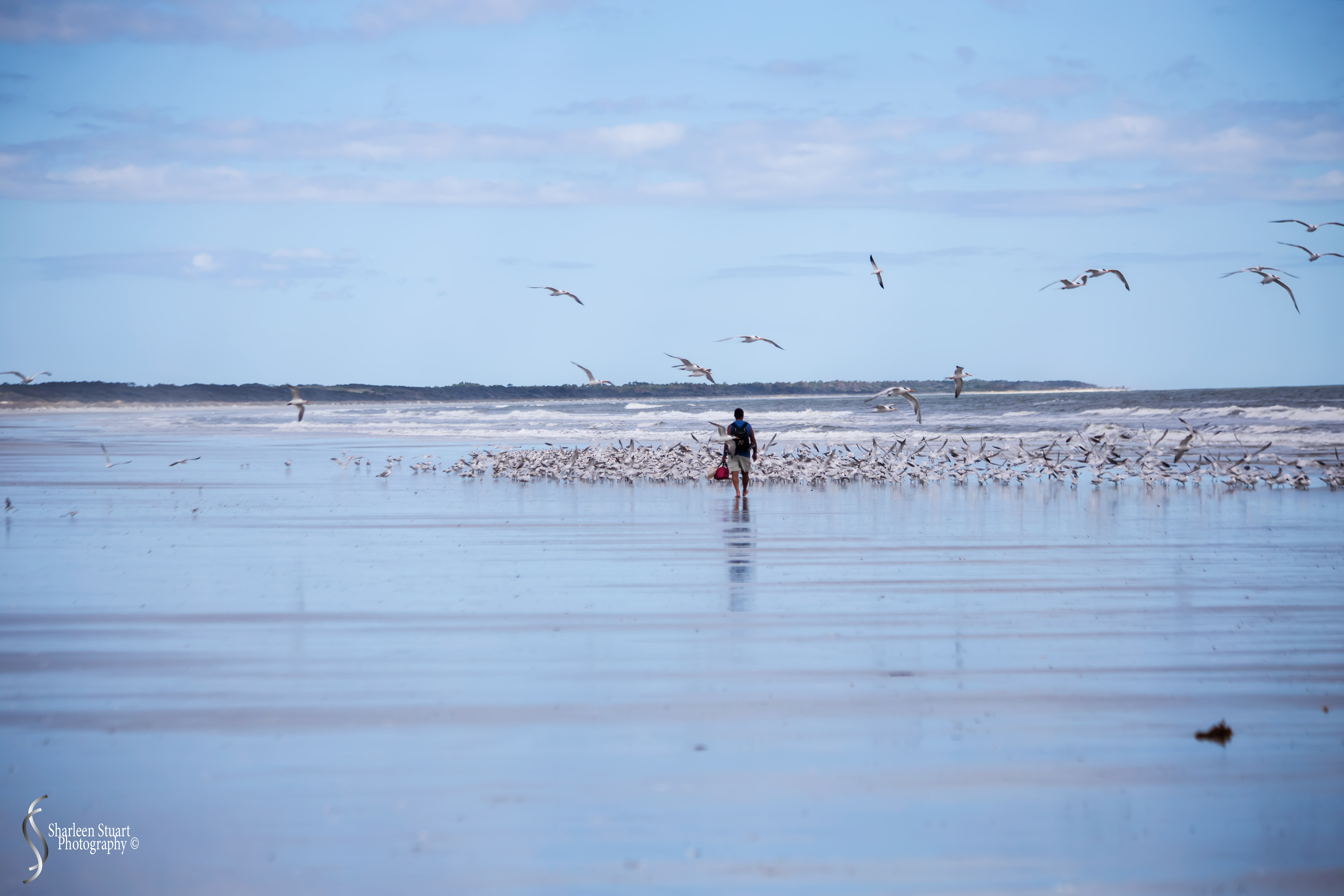 Cumberland Island trip Georgia:  October 11, 2019: 2412
