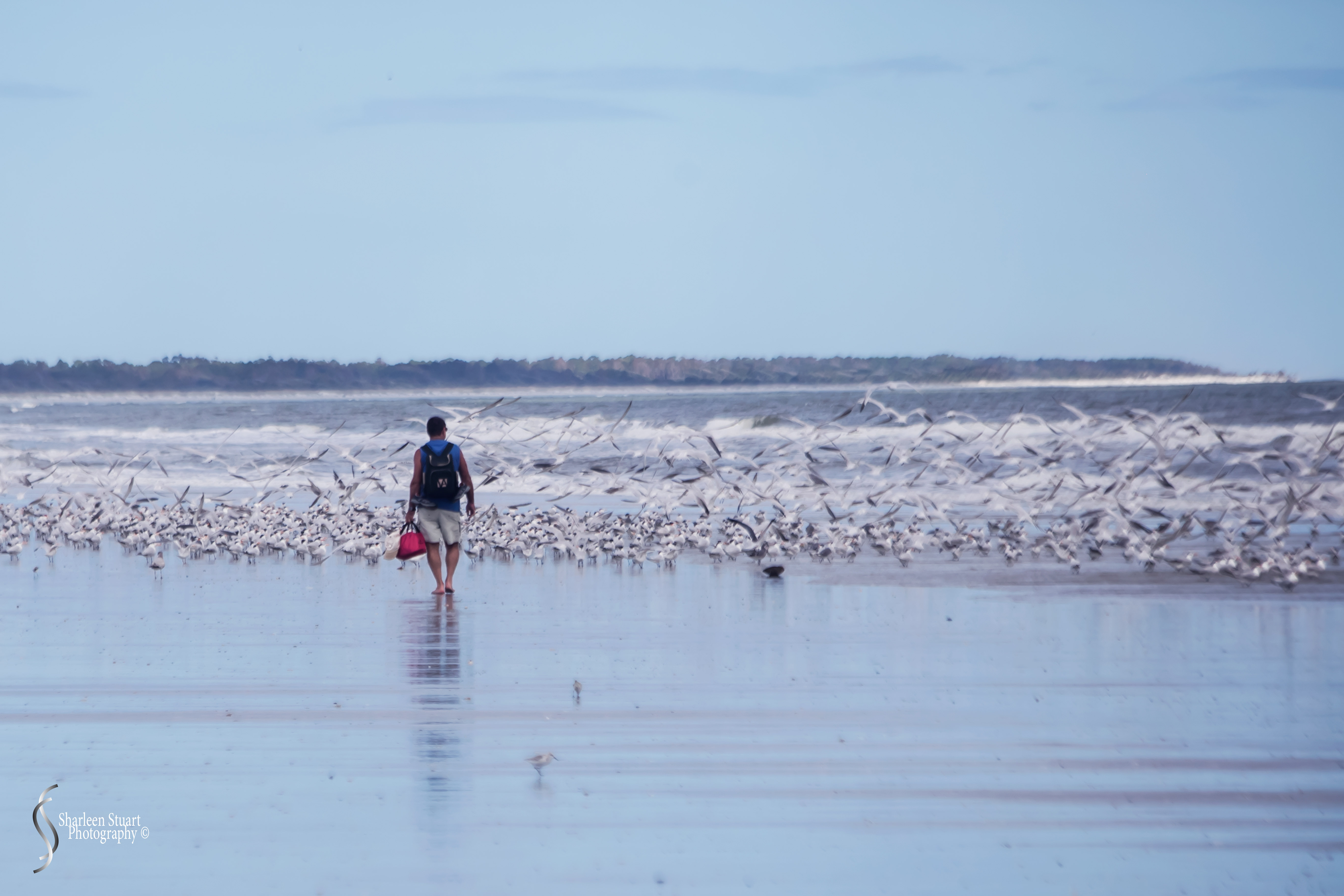Cumberland Island trip Georgia: October 11, 2019: 2428